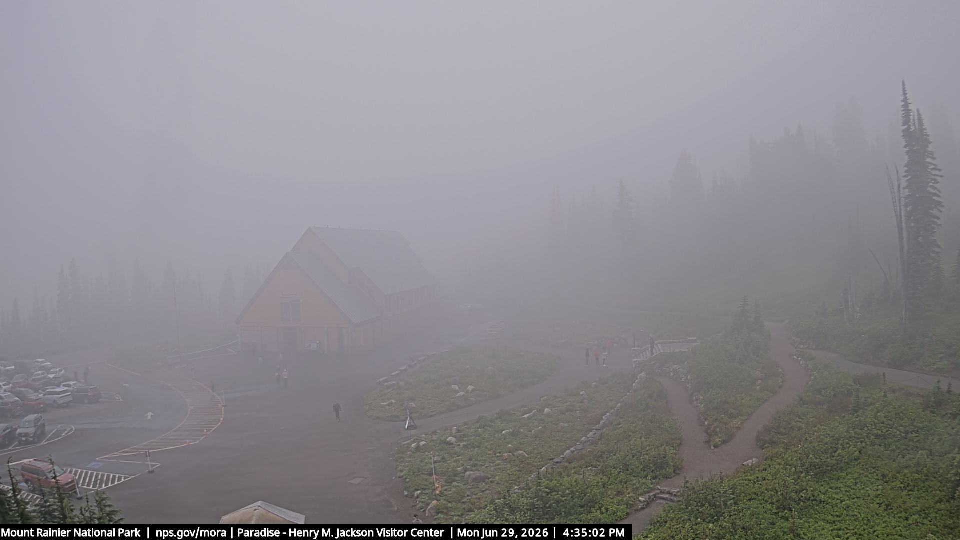 Jackson Visitor Center webcam frame at Paradise on Mount Rainier.