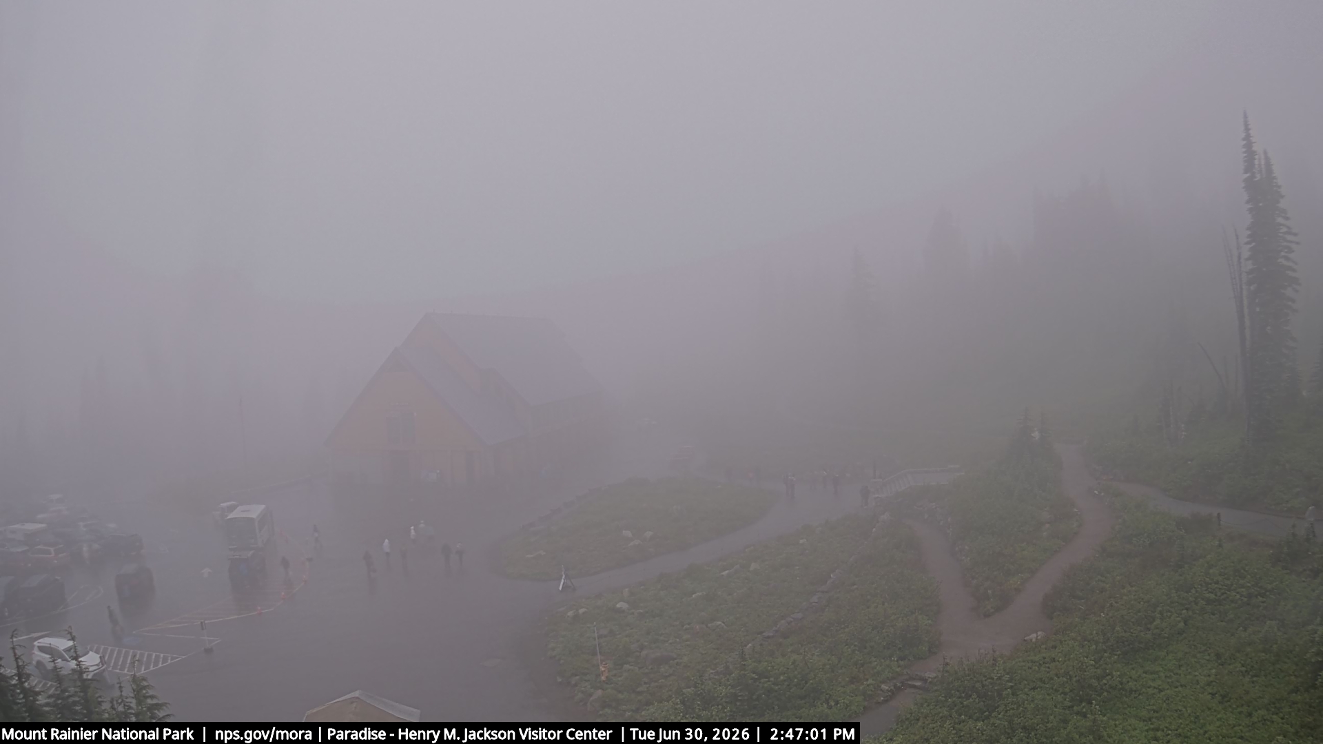 Jackson Visitor Center webcam frame at Paradise on Mount Rainier.