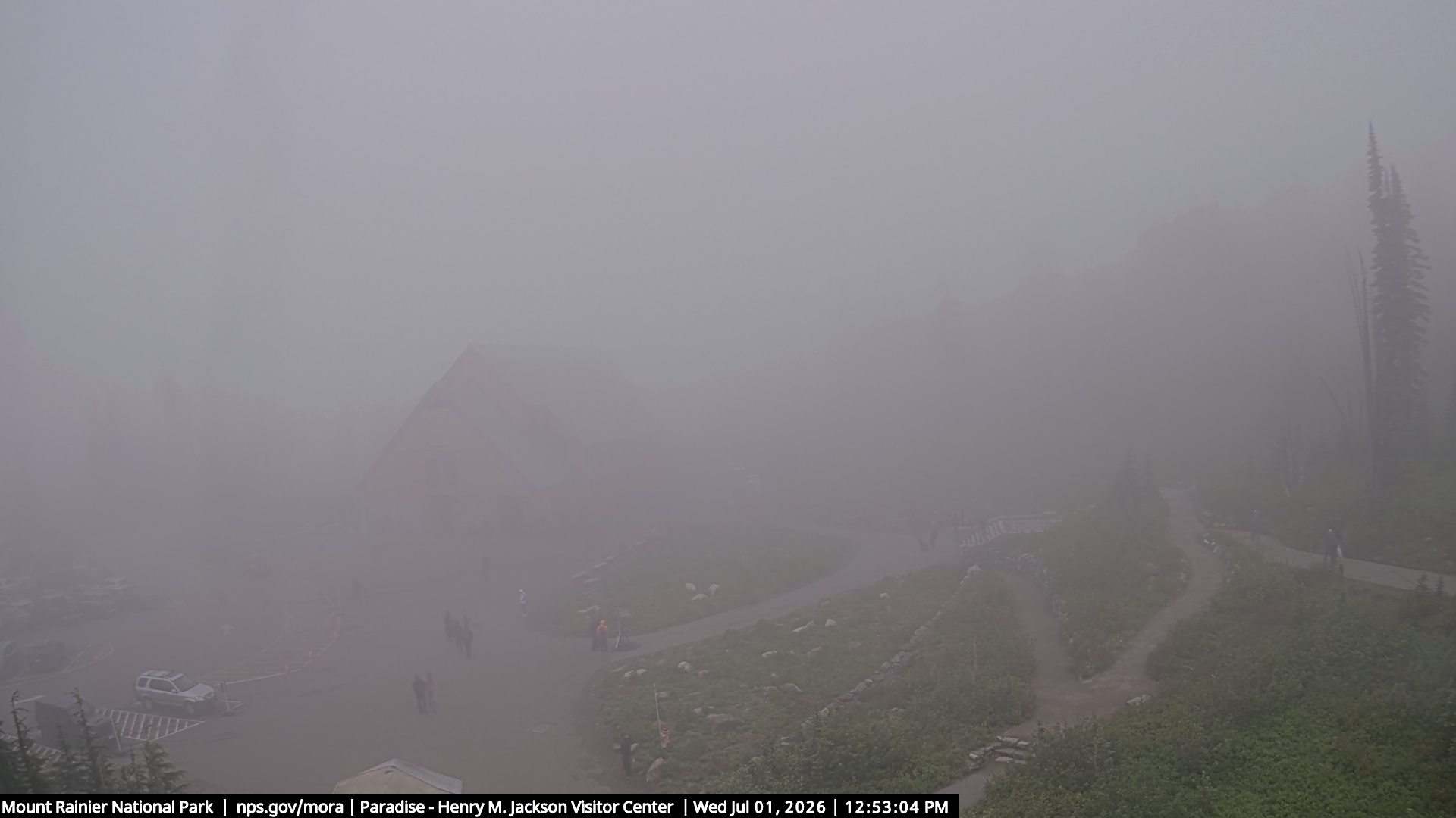 Jackson Visitor Center webcam frame at Paradise on Mount Rainier.