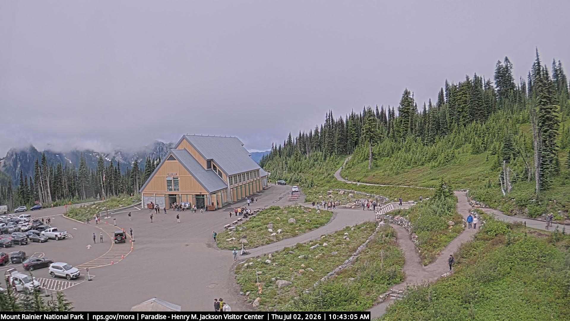 Jackson Visitor Center webcam frame at Paradise on Mount Rainier.