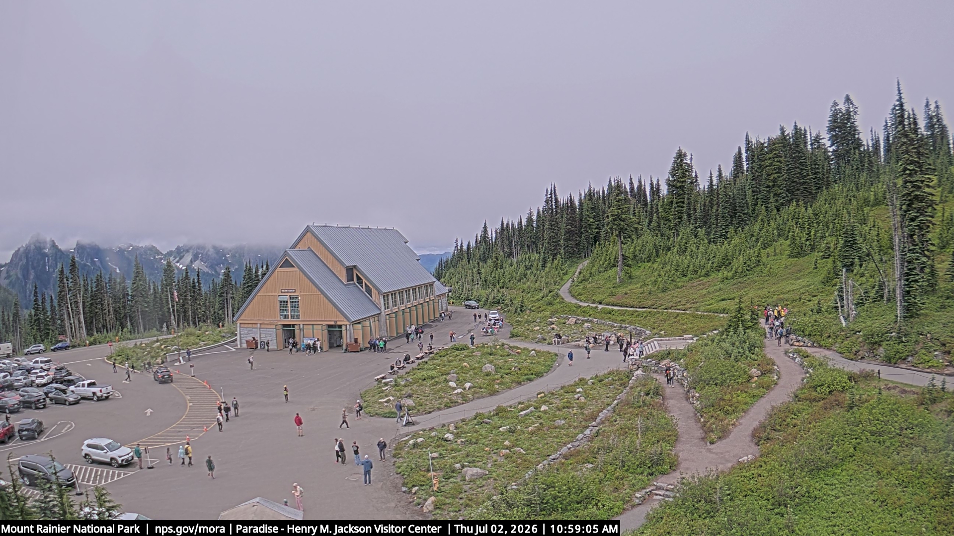 Jackson Visitor Center webcam frame at Paradise on Mount Rainier.