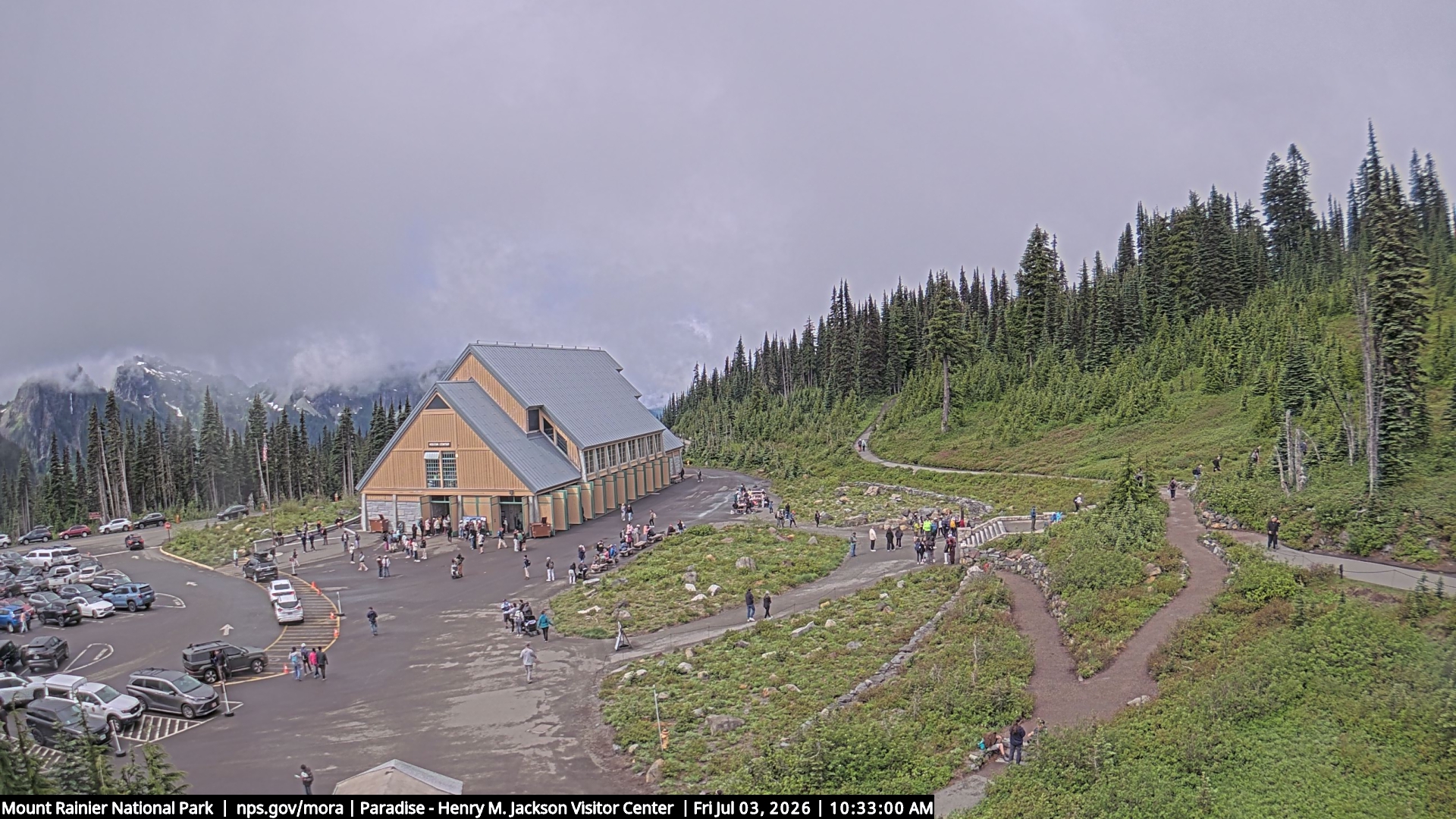 Jackson Visitor Center webcam frame at Paradise on Mount Rainier.