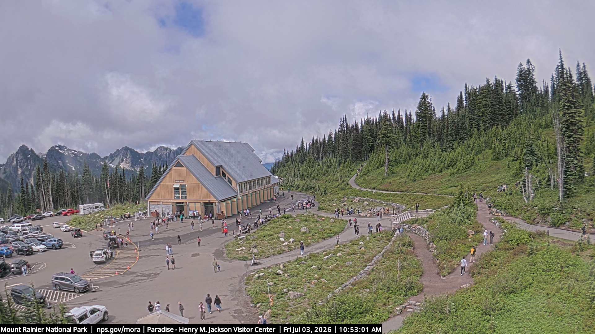 Jackson Visitor Center webcam frame at Paradise on Mount Rainier.