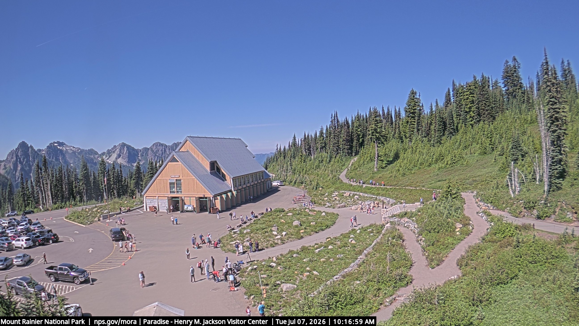Jackson Visitor Center webcam frame at Paradise on Mount Rainier.