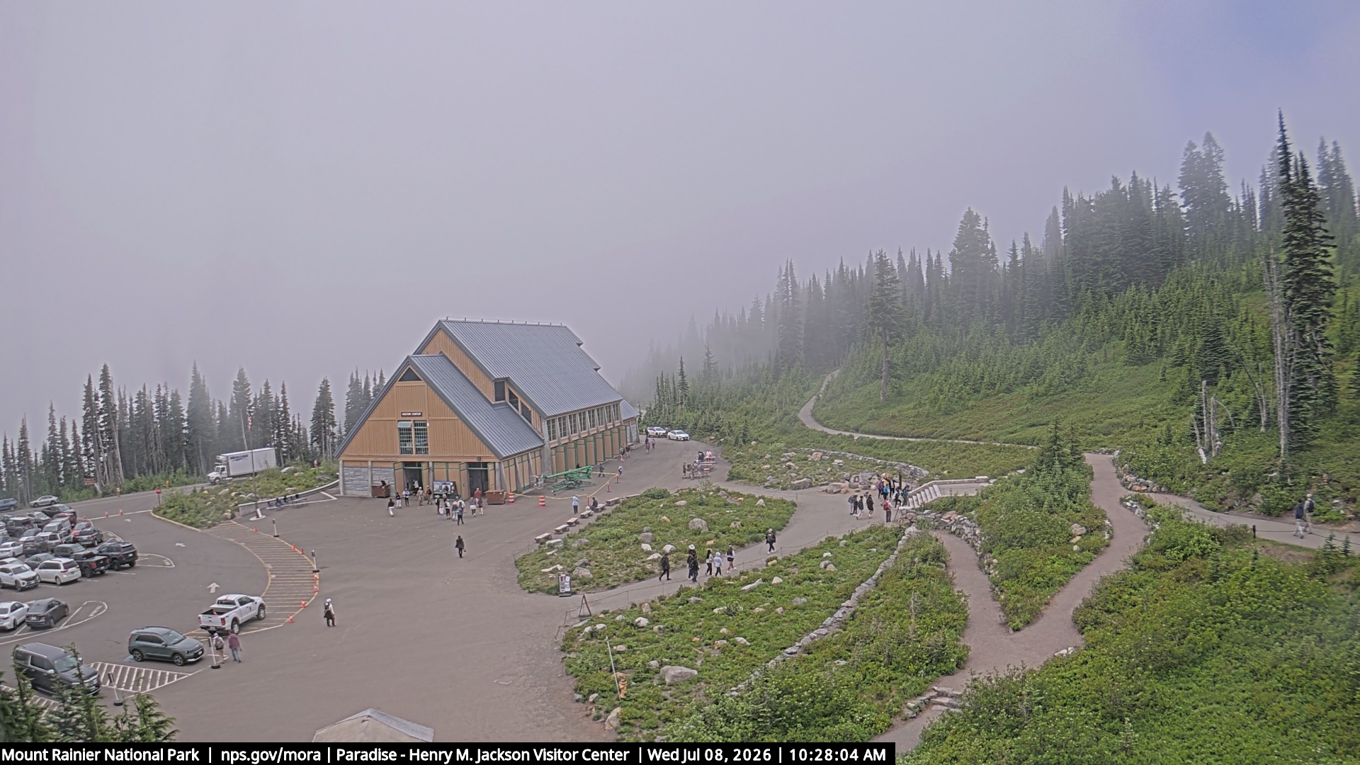 Jackson Visitor Center webcam frame at Paradise on Mount Rainier.