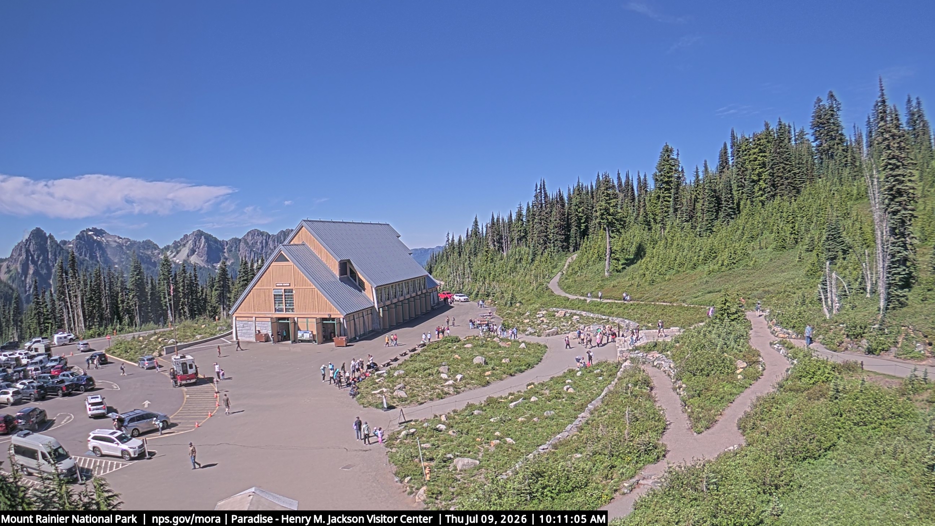 Jackson Visitor Center webcam frame at Paradise on Mount Rainier.