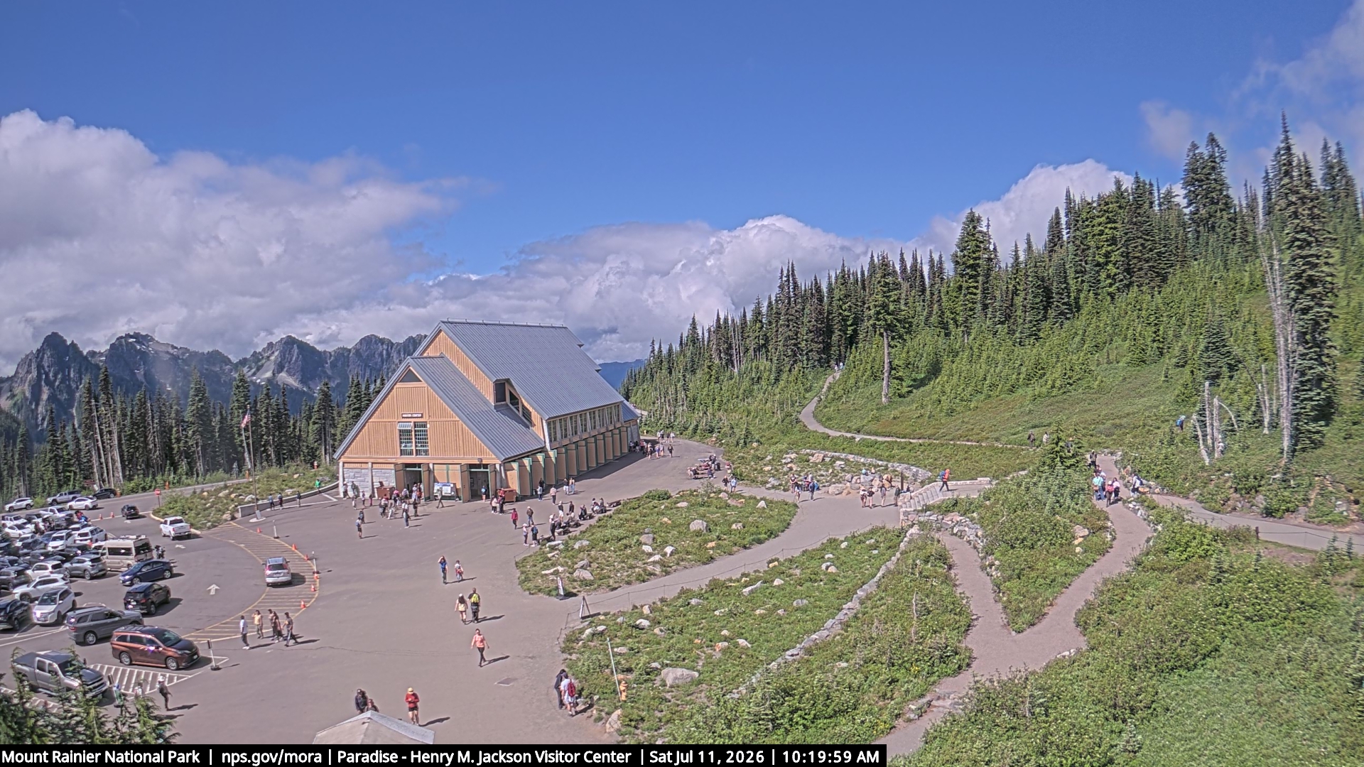 Jackson Visitor Center webcam frame at Paradise on Mount Rainier.