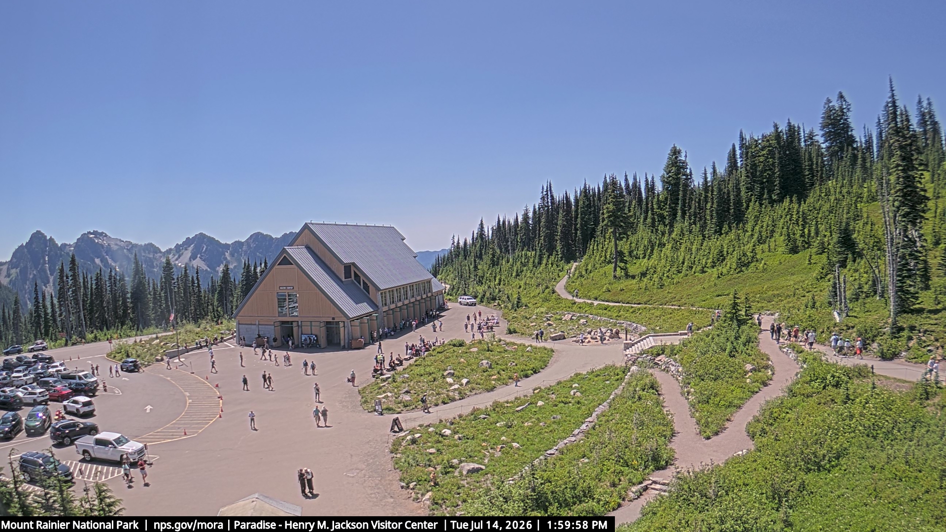 Jackson Visitor Center webcam frame at Paradise on Mount Rainier.