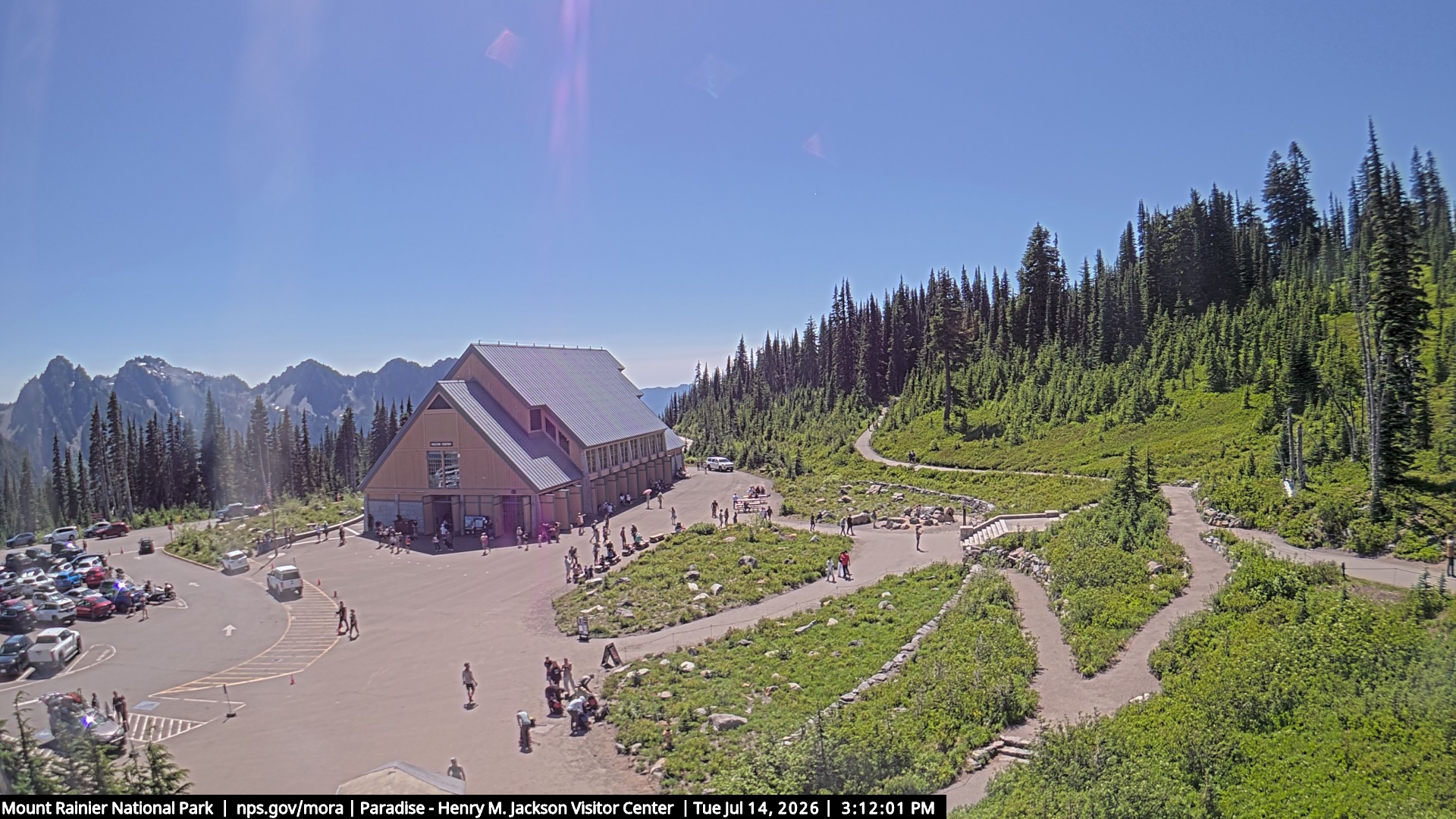 Jackson Visitor Center webcam frame at Paradise on Mount Rainier.
