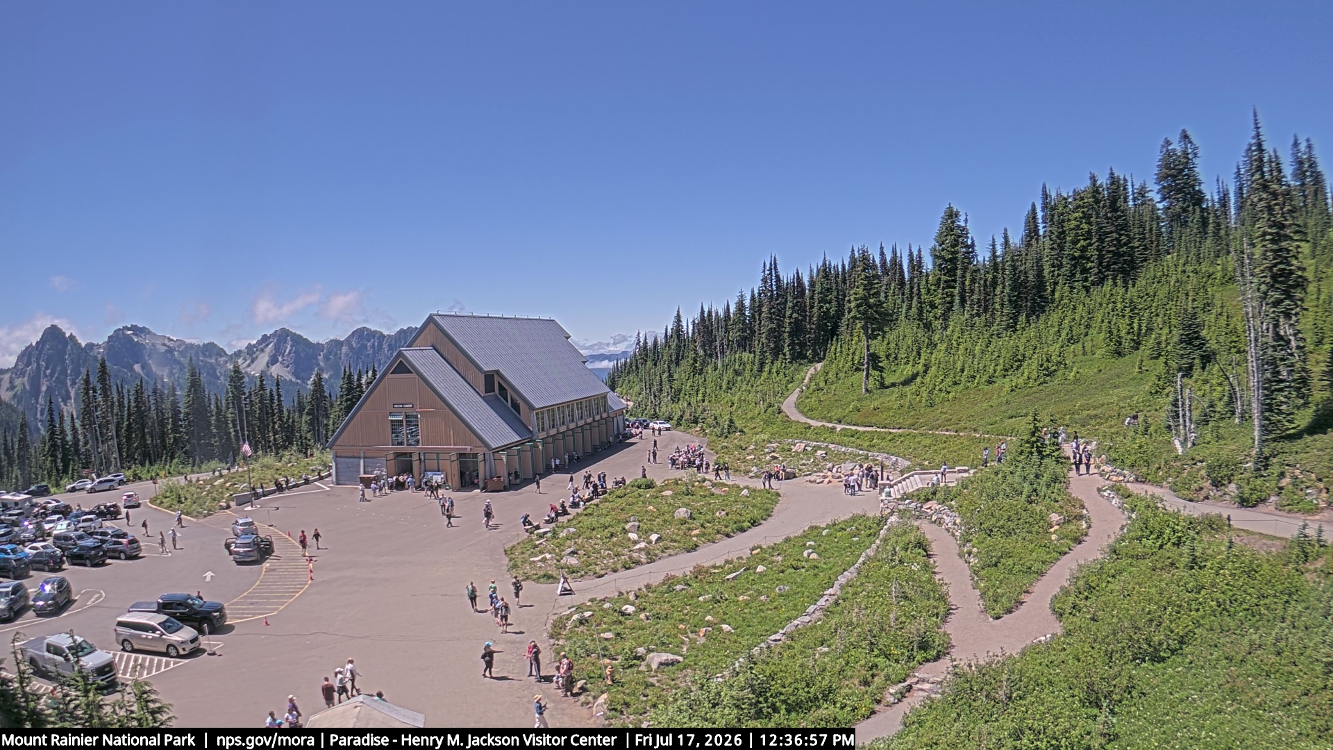 Jackson Visitor Center webcam frame at Paradise on Mount Rainier.