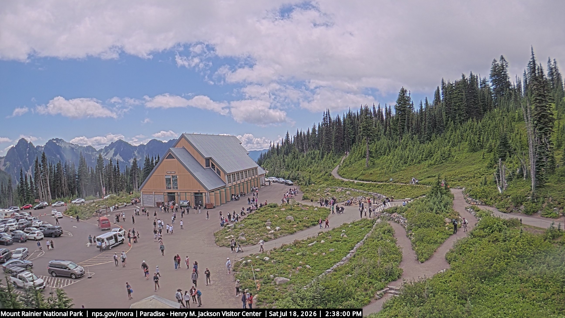 Jackson Visitor Center webcam frame at Paradise on Mount Rainier.