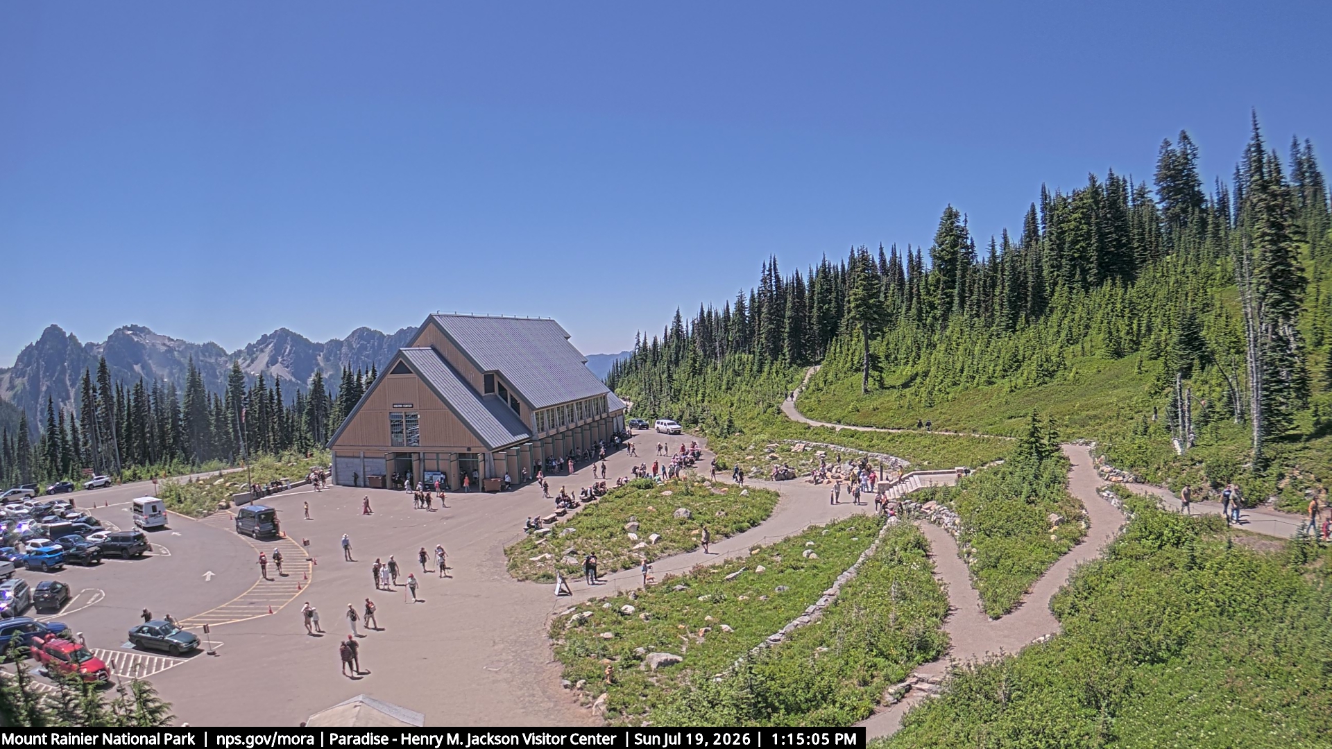 Jackson Visitor Center webcam frame at Paradise on Mount Rainier.