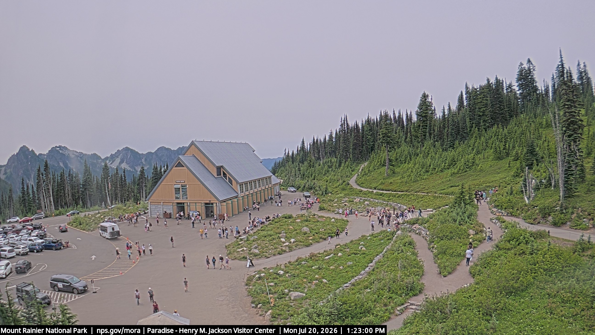 Jackson Visitor Center webcam frame at Paradise on Mount Rainier.