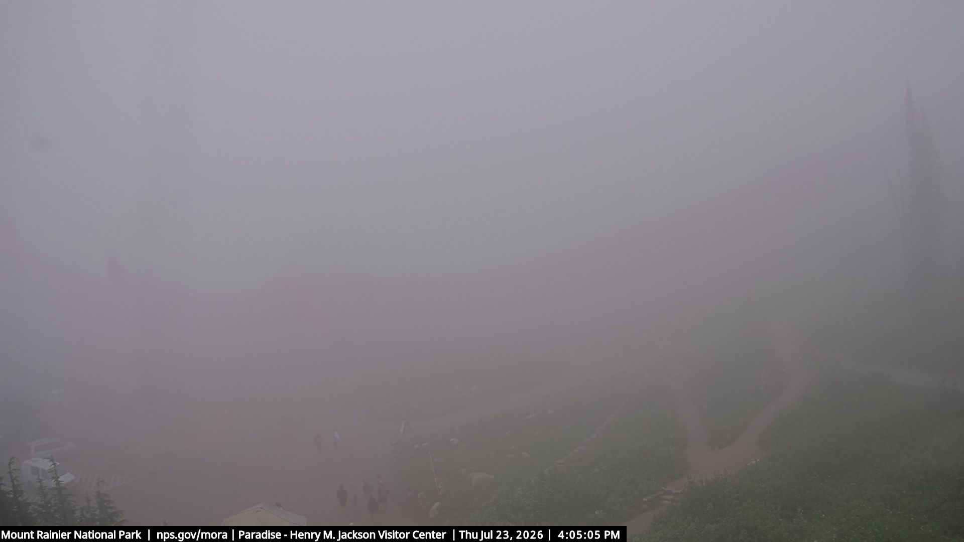 Jackson Visitor Center webcam frame at Paradise on Mount Rainier.