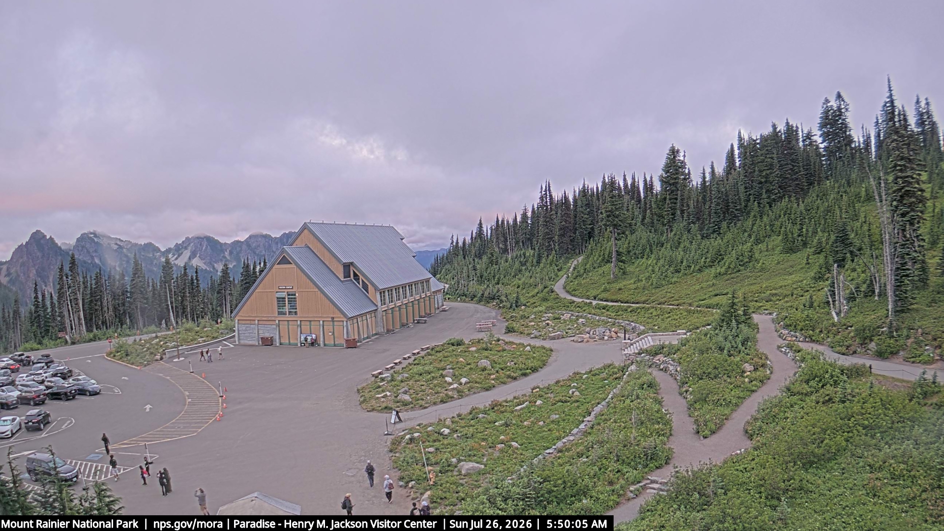 Jackson Visitor Center webcam frame at Paradise on Mount Rainier.
