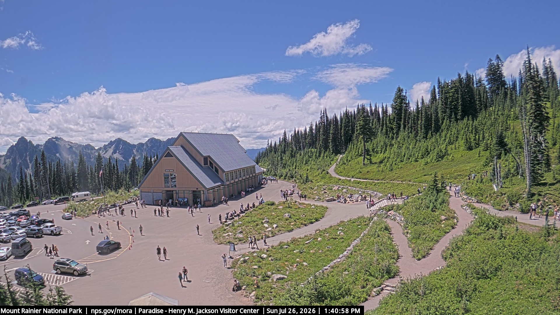 Jackson Visitor Center webcam frame at Paradise on Mount Rainier.