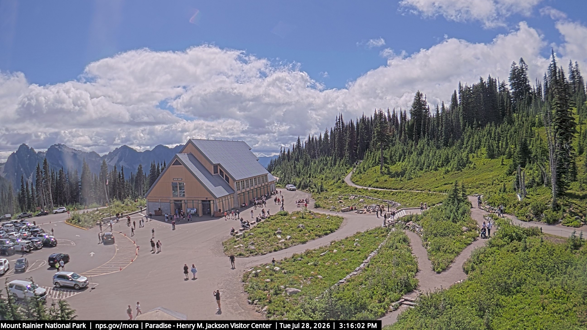 Jackson Visitor Center webcam frame at Paradise on Mount Rainier.