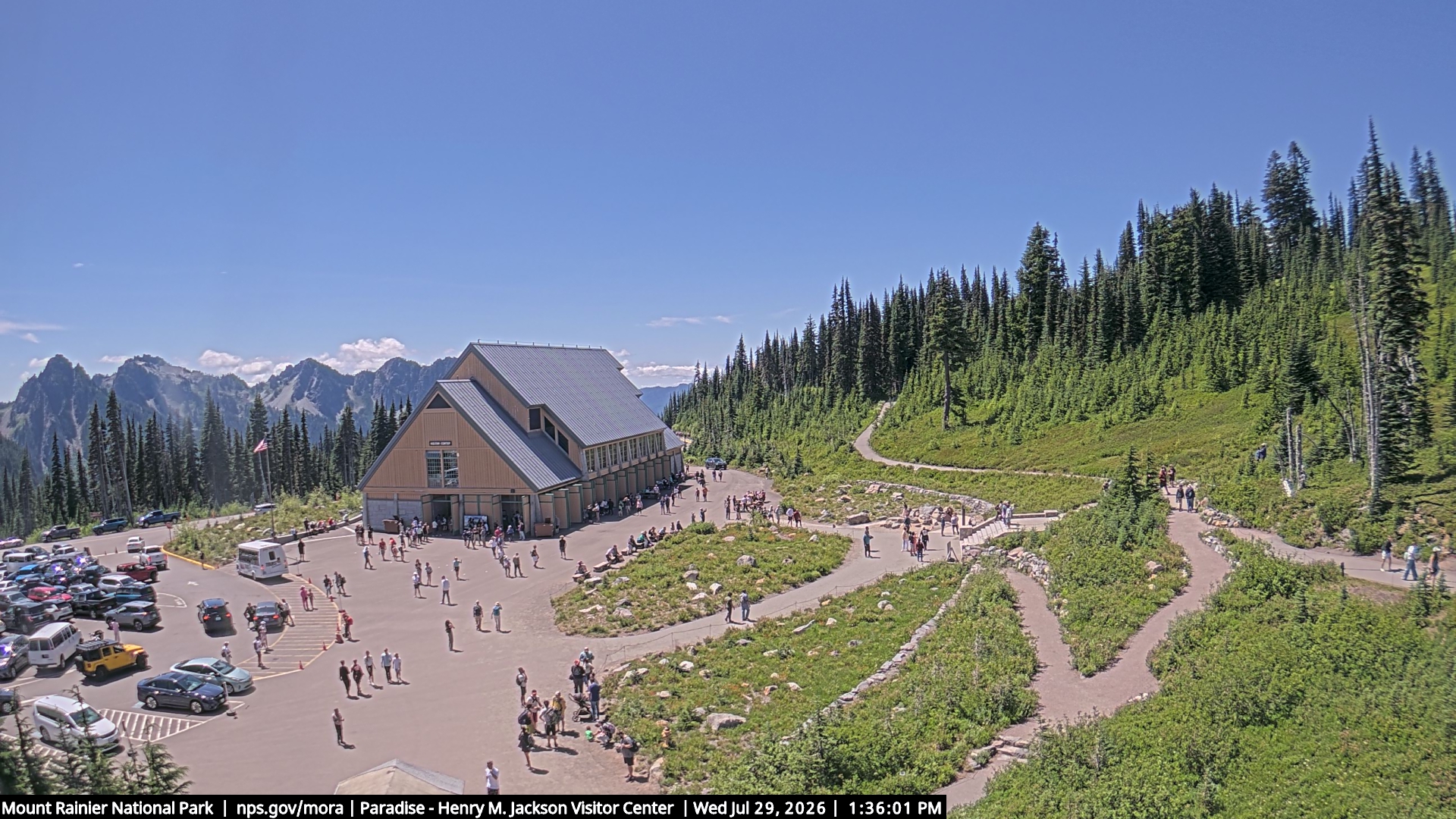 Jackson Visitor Center webcam frame at Paradise on Mount Rainier.