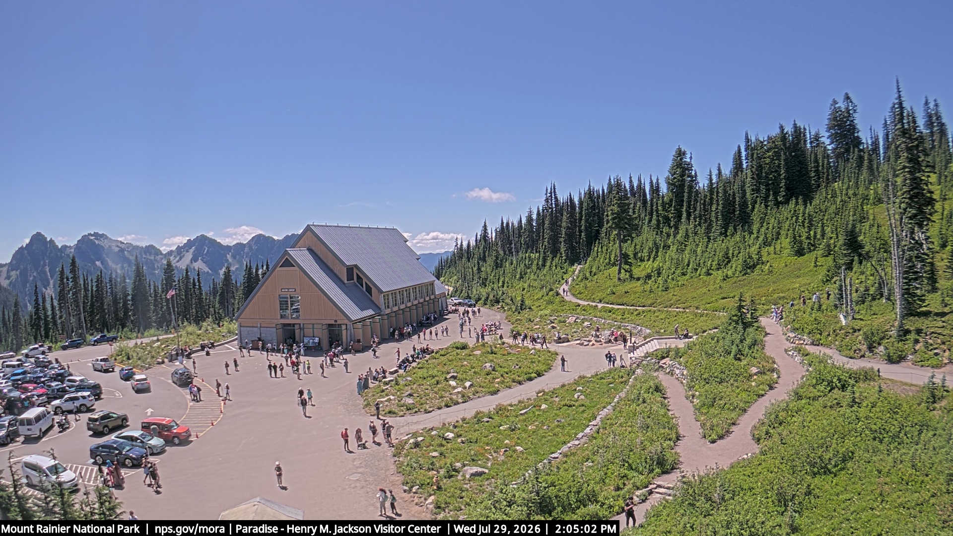 Jackson Visitor Center webcam frame at Paradise on Mount Rainier.