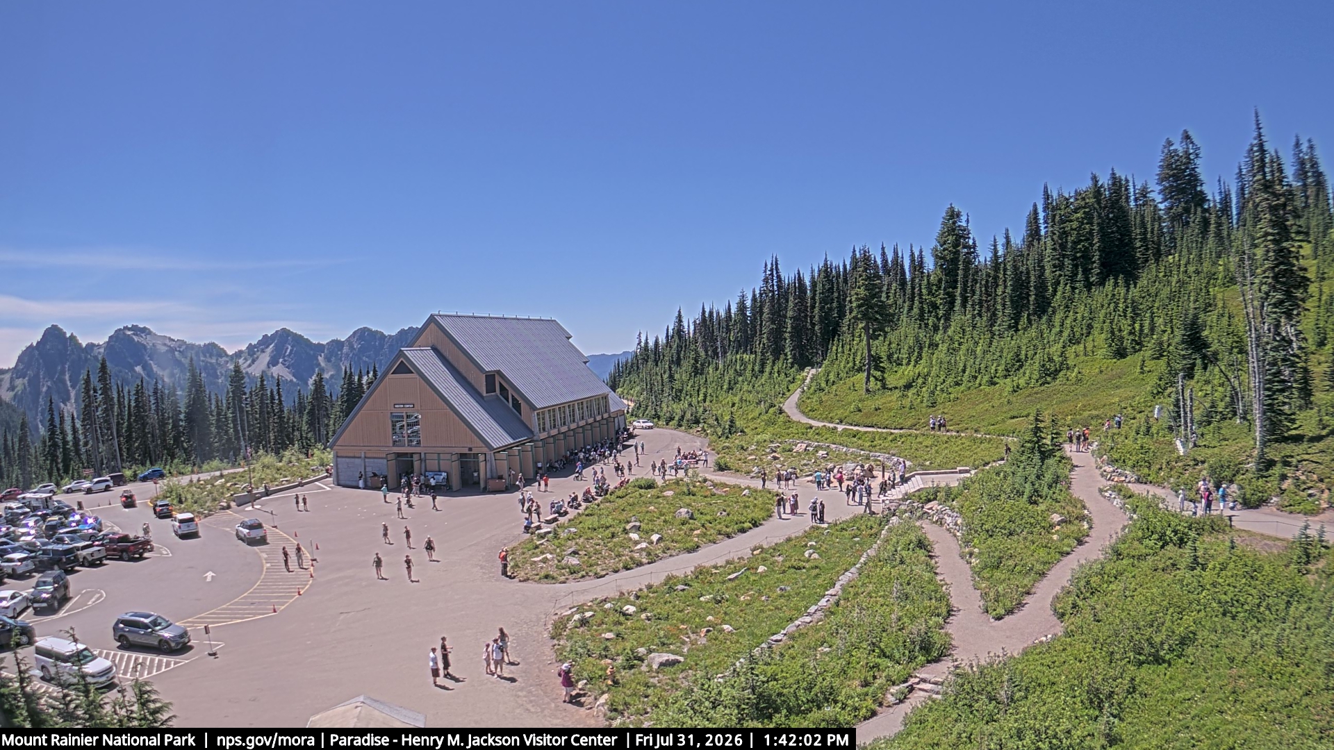 Jackson Visitor Center webcam frame at Paradise on Mount Rainier.
