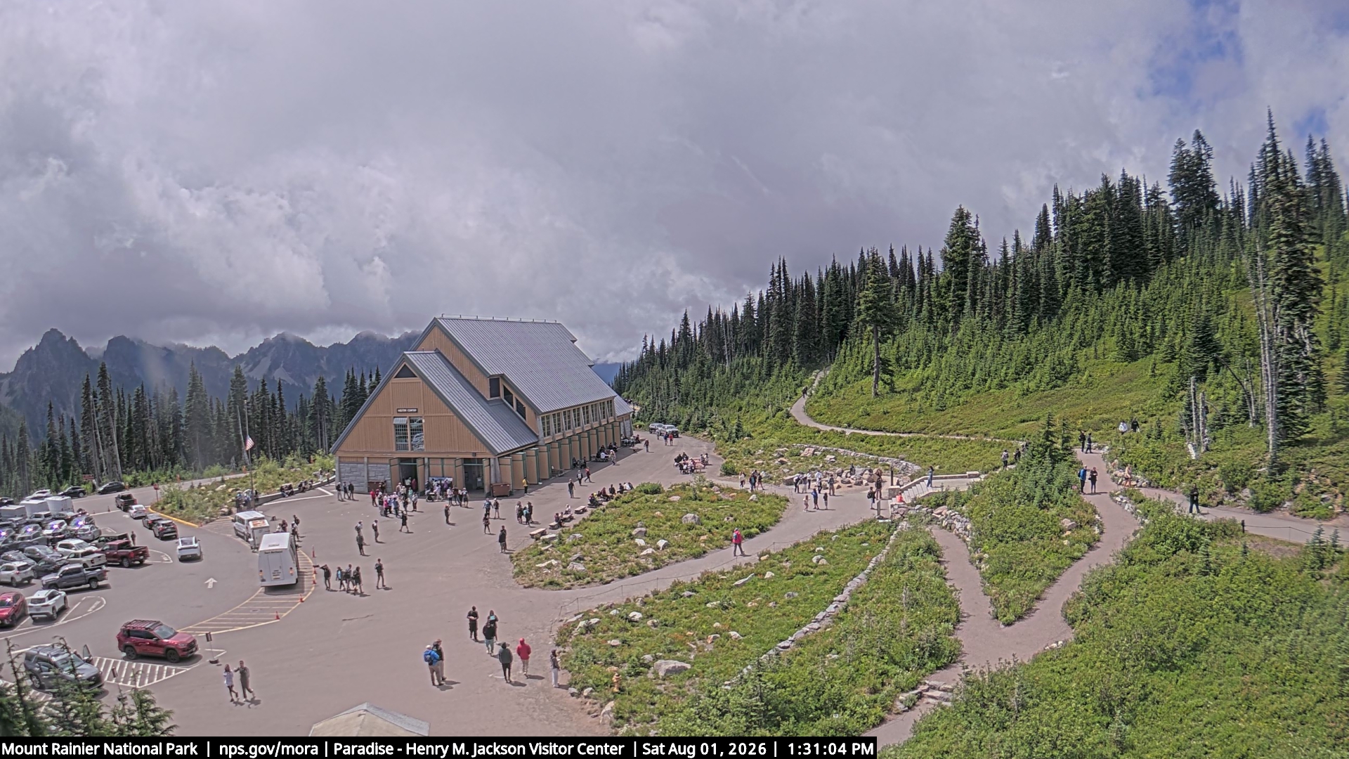 Jackson Visitor Center webcam frame at Paradise on Mount Rainier.