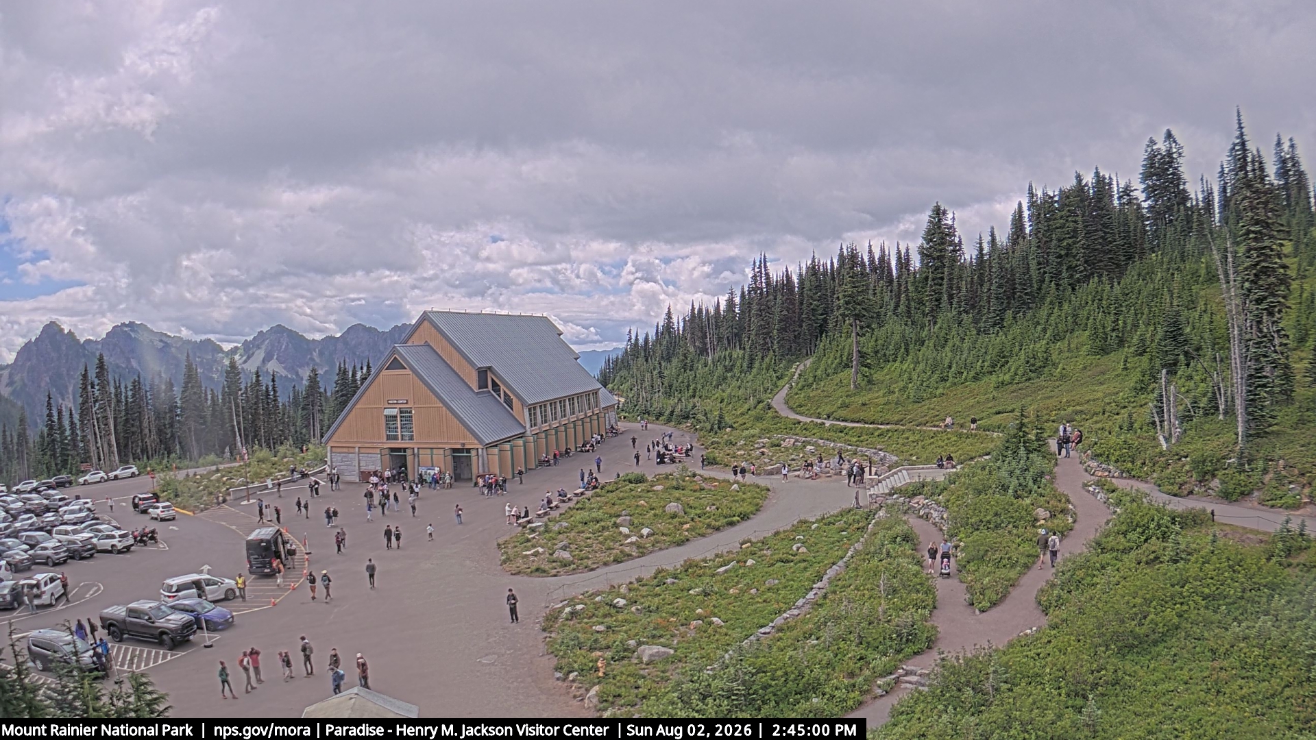 Jackson Visitor Center webcam frame at Paradise on Mount Rainier.