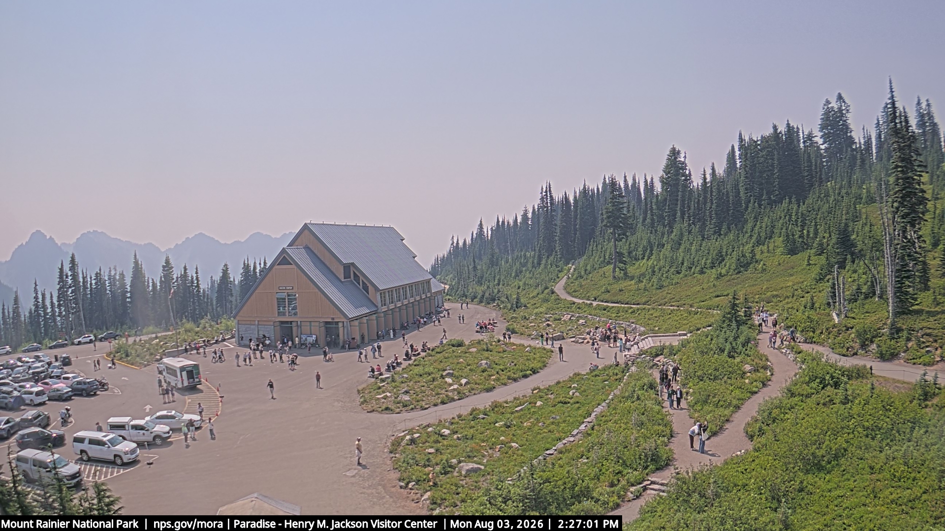 Jackson Visitor Center webcam frame at Paradise on Mount Rainier.