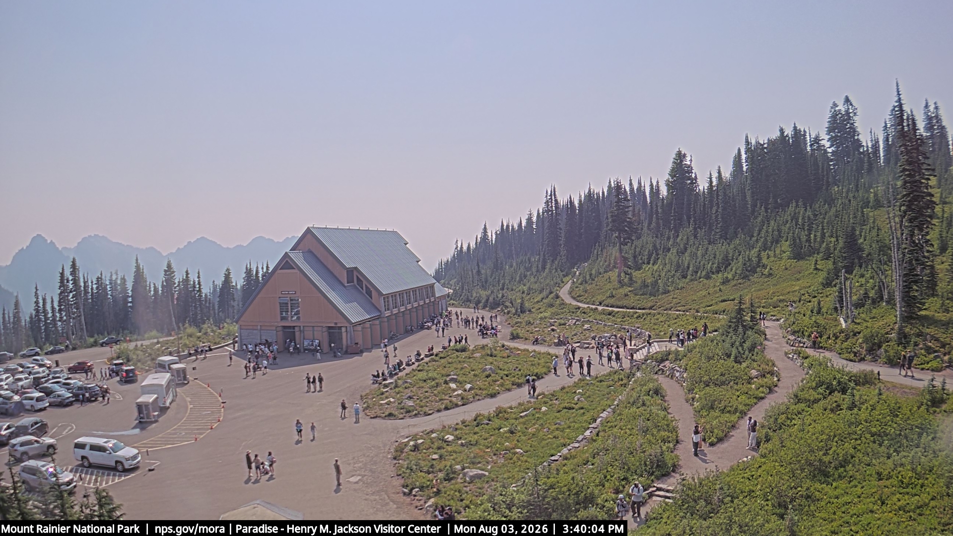Jackson Visitor Center webcam frame at Paradise on Mount Rainier.