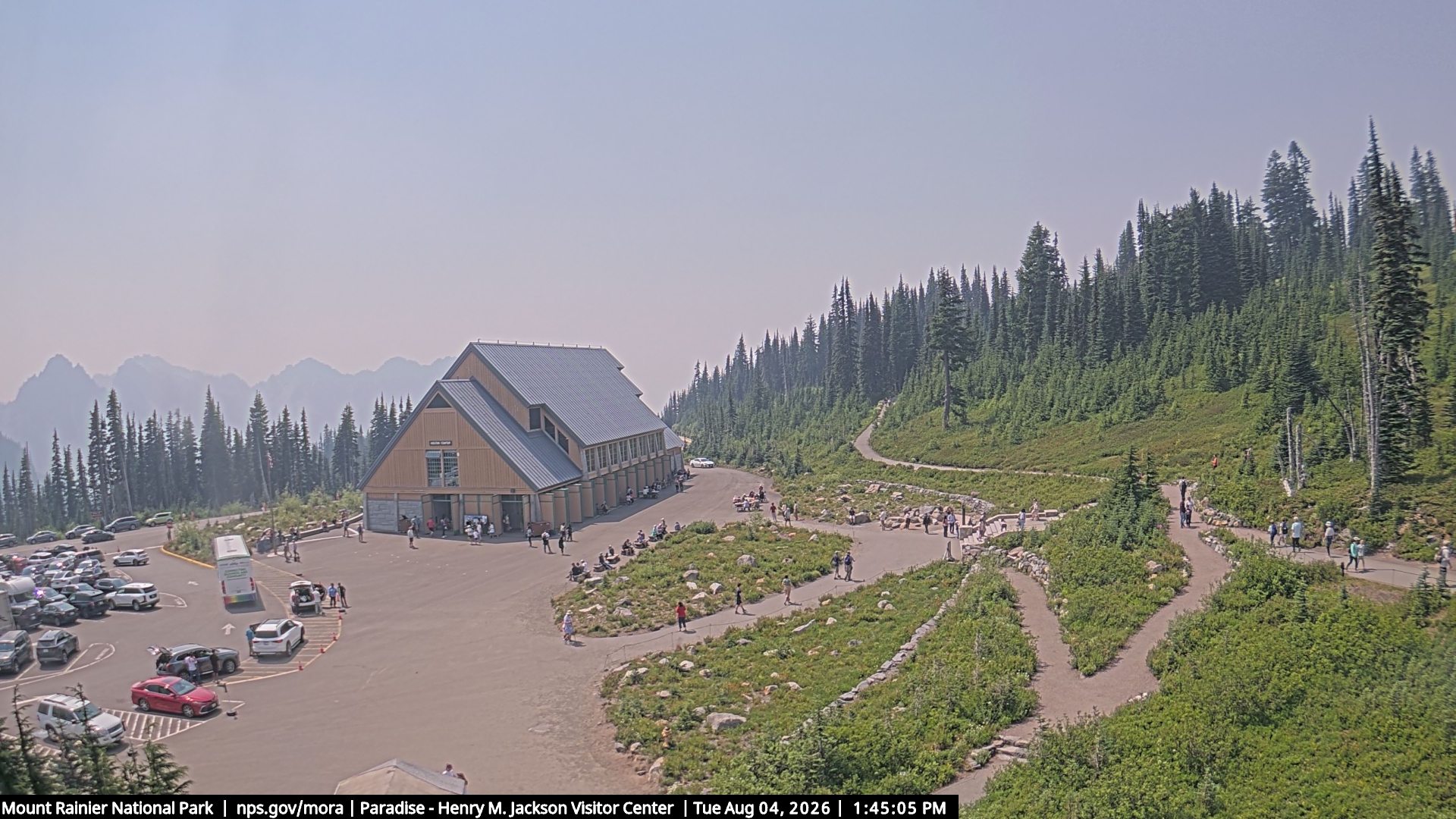 Jackson Visitor Center webcam frame at Paradise on Mount Rainier.