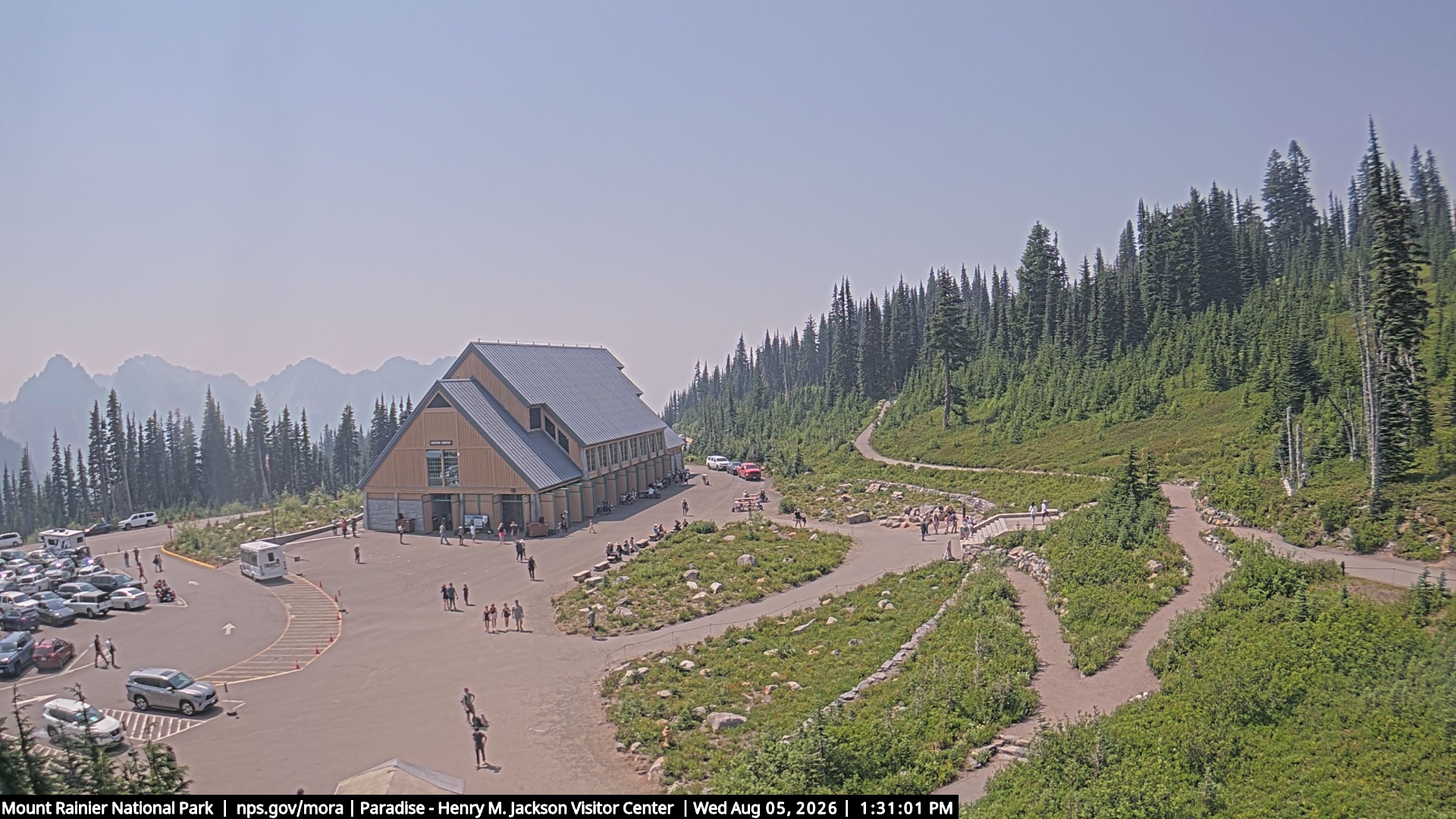 Jackson Visitor Center webcam frame at Paradise on Mount Rainier.