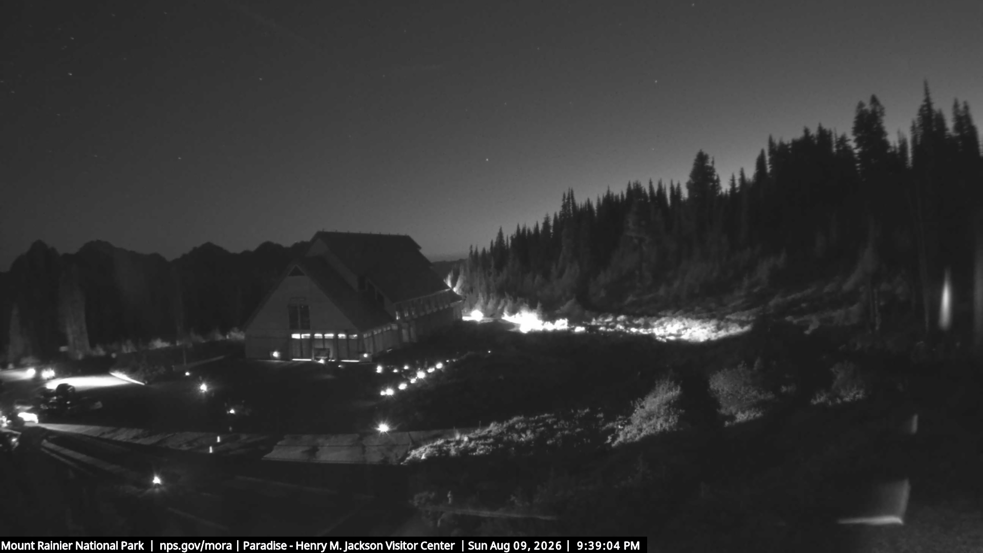 Jackson Visitor Center webcam frame at Paradise on Mount Rainier.