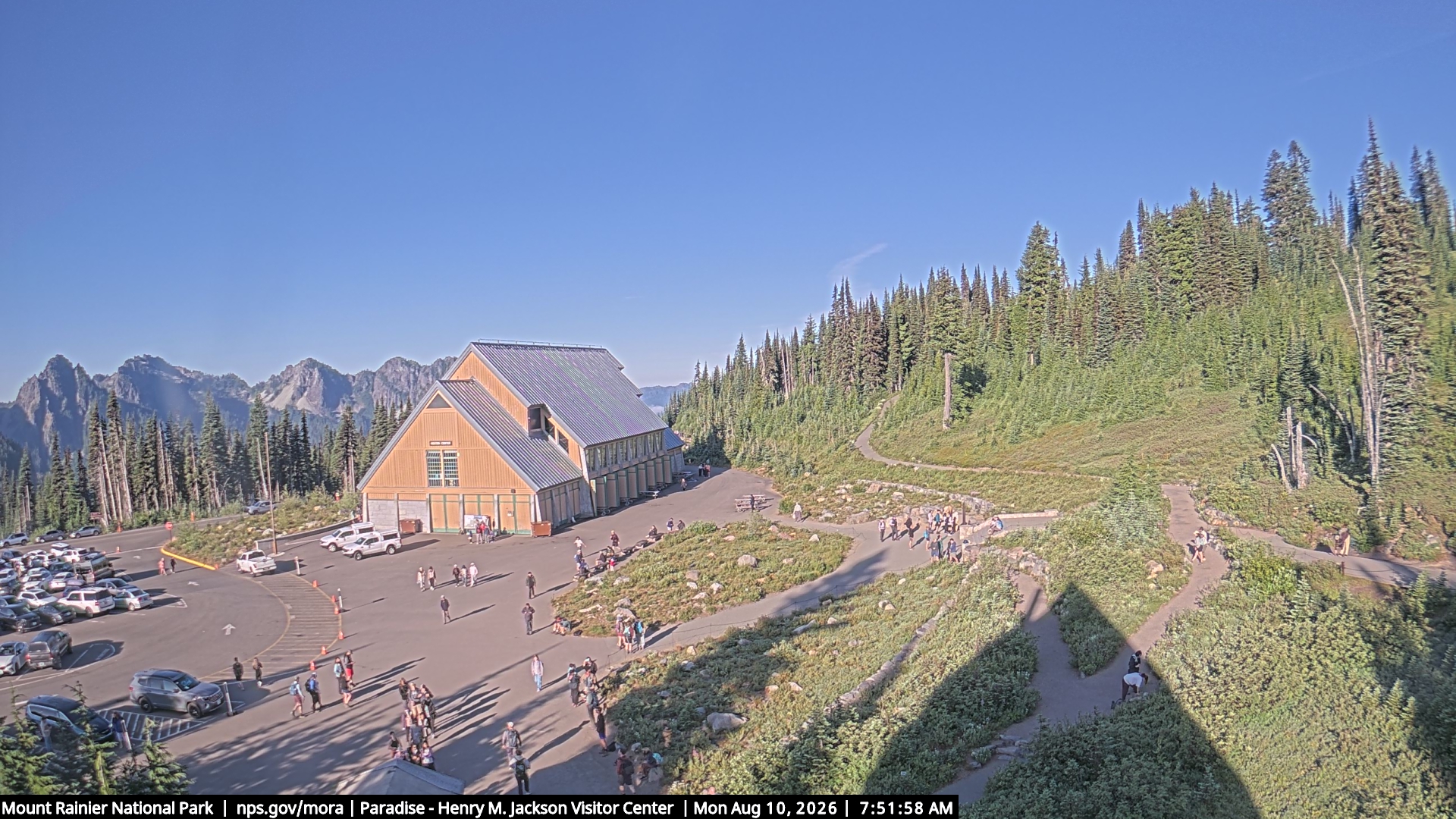 Jackson Visitor Center webcam frame at Paradise on Mount Rainier.