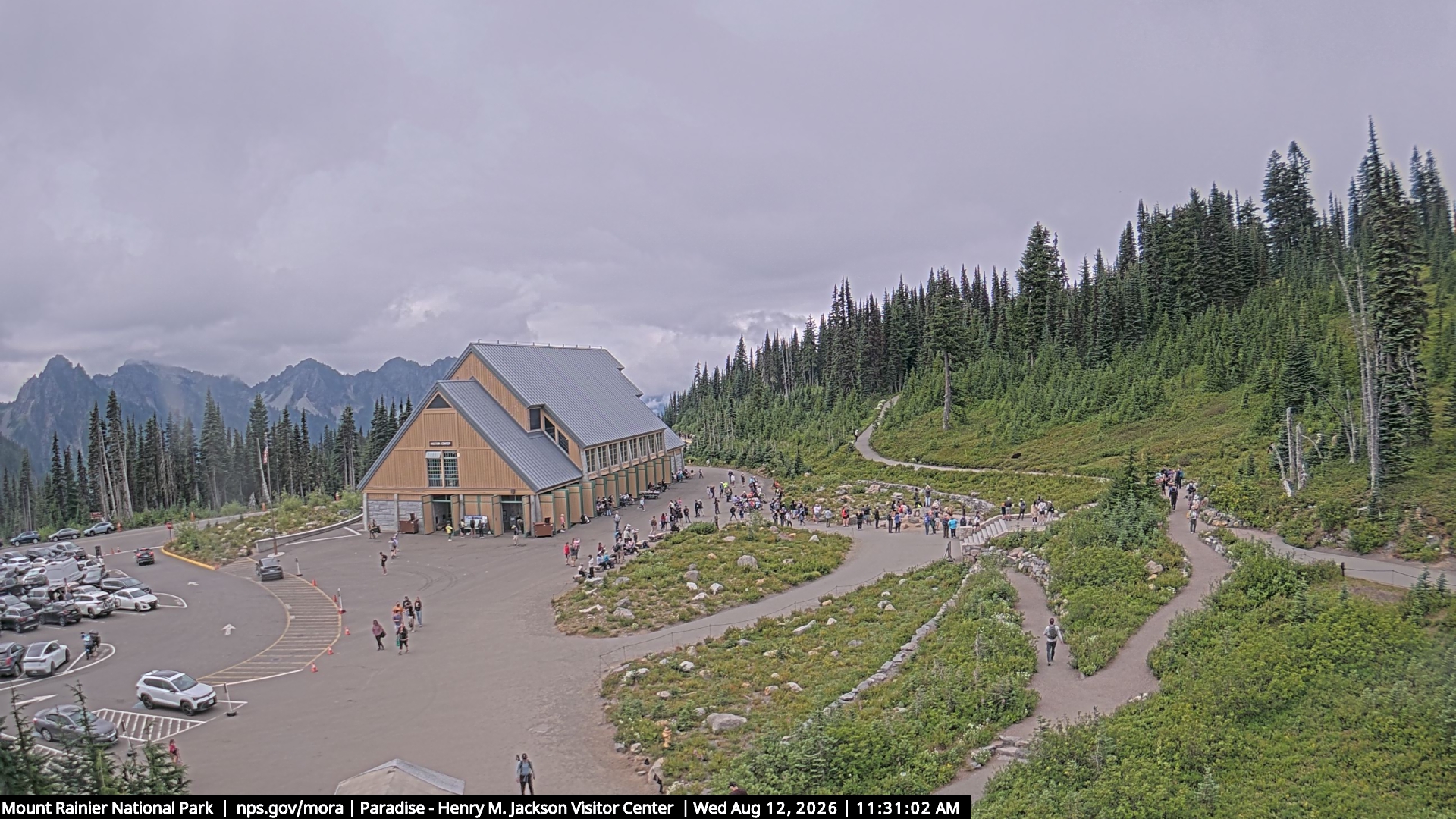 Jackson Visitor Center webcam frame at Paradise on Mount Rainier.