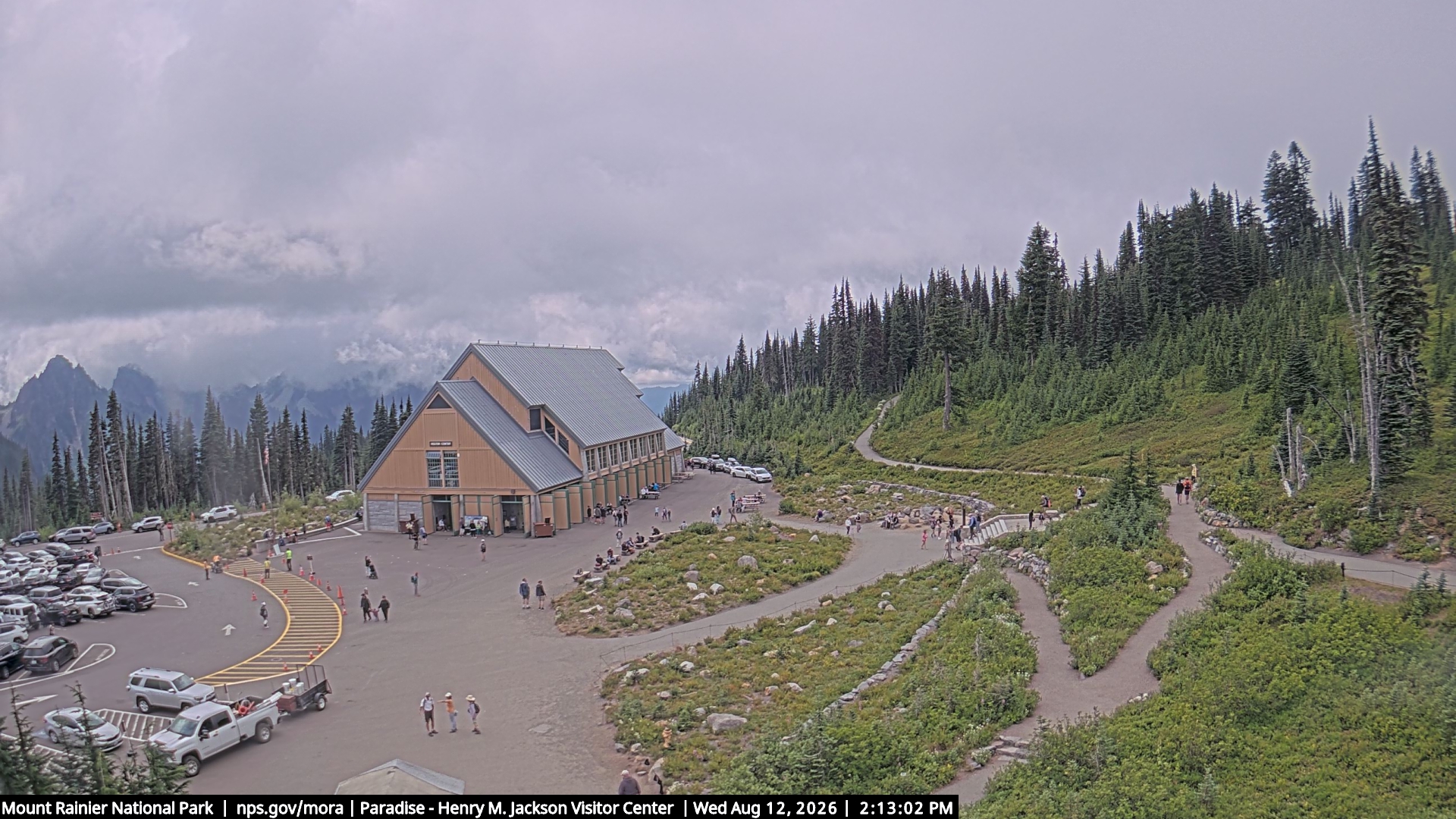 Jackson Visitor Center webcam frame at Paradise on Mount Rainier.