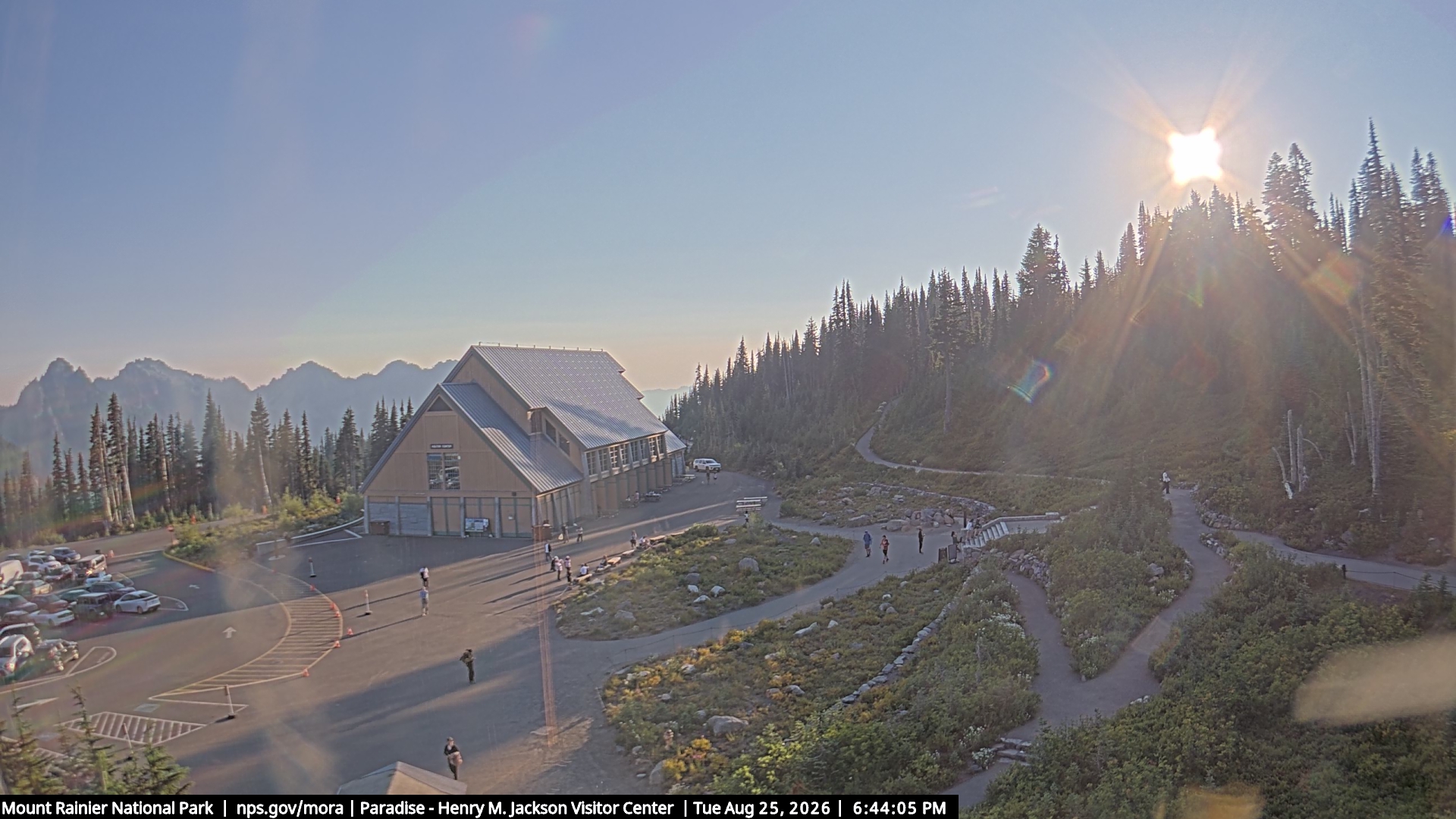 Jackson Visitor Center webcam frame at Paradise on Mount Rainier.