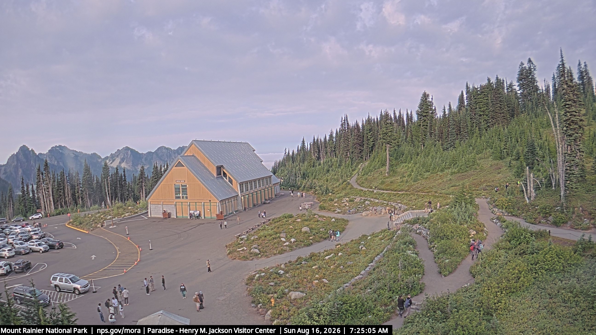 Jackson Visitor Center webcam frame at Paradise on Mount Rainier.