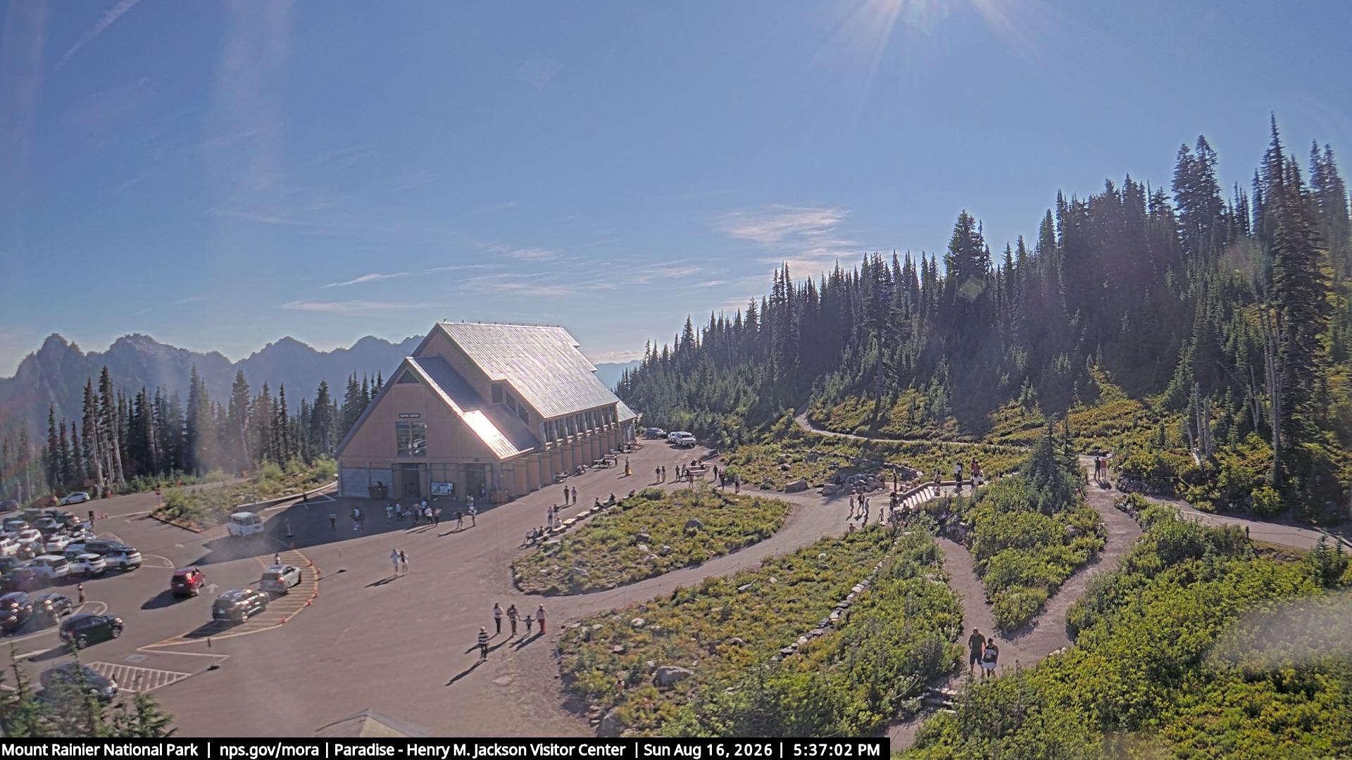 Jackson Visitor Center webcam frame at Paradise on Mount Rainier.