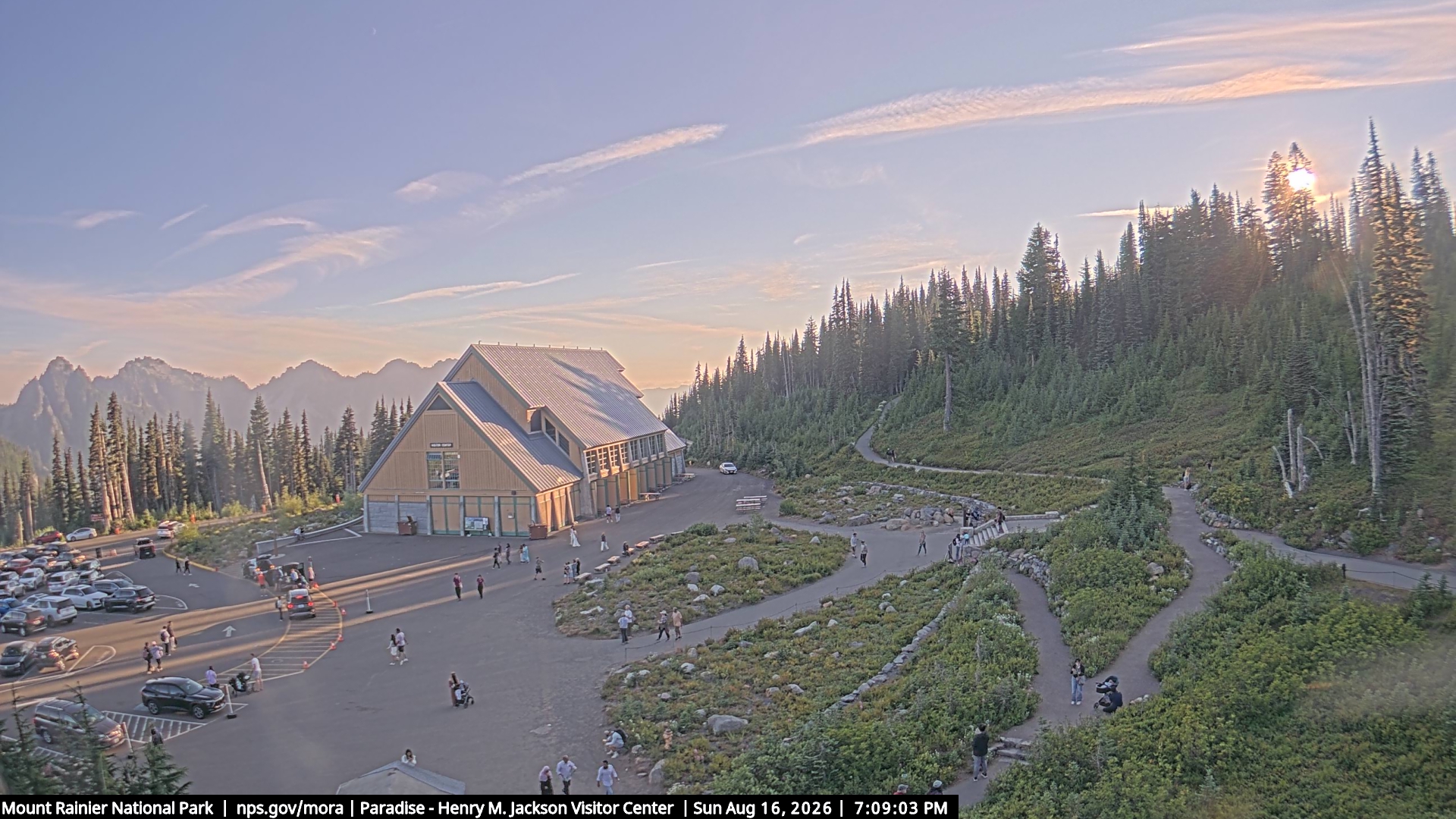 Jackson Visitor Center webcam frame at Paradise on Mount Rainier.