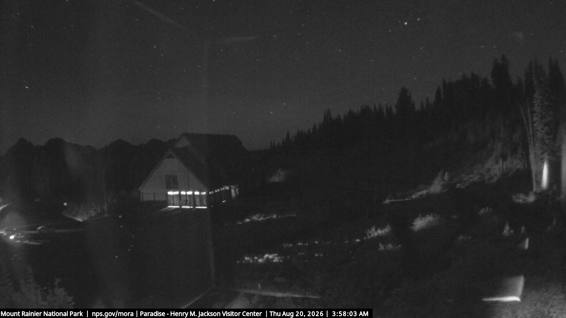 Jackson Visitor Center webcam frame at Paradise on Mount Rainier.