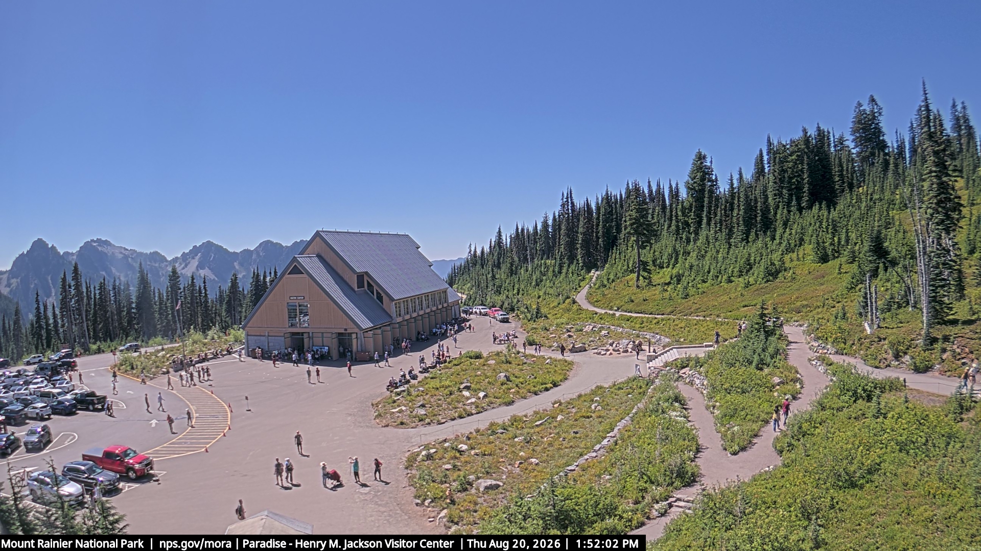 Jackson Visitor Center webcam frame at Paradise on Mount Rainier.