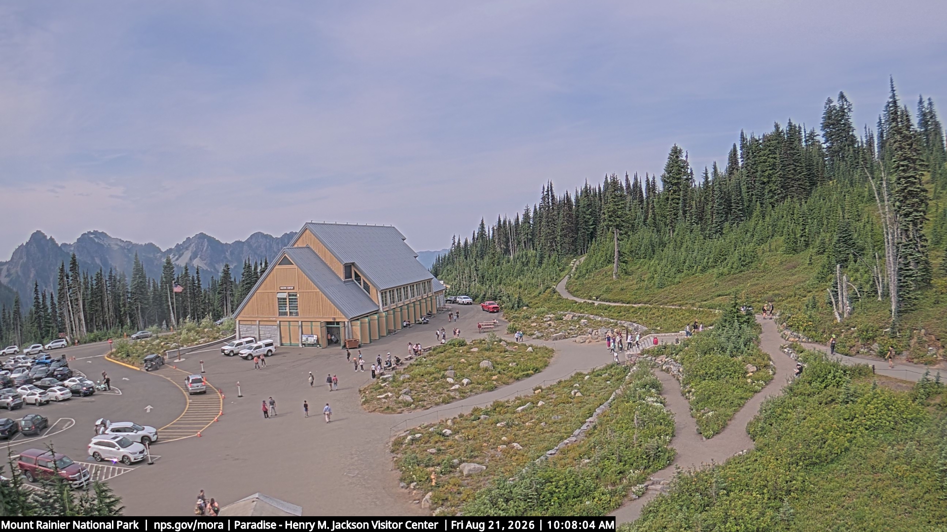 Jackson Visitor Center webcam frame at Paradise on Mount Rainier.