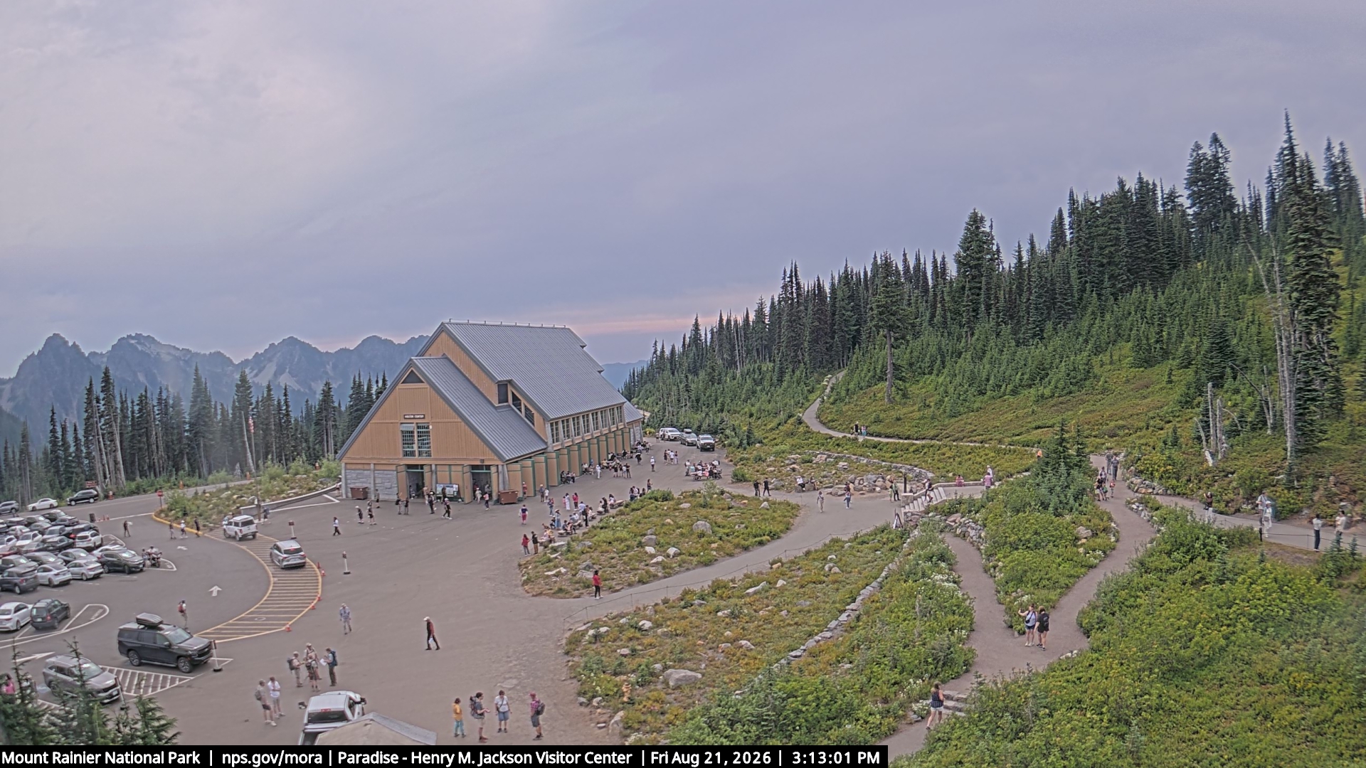 Jackson Visitor Center webcam frame at Paradise on Mount Rainier.