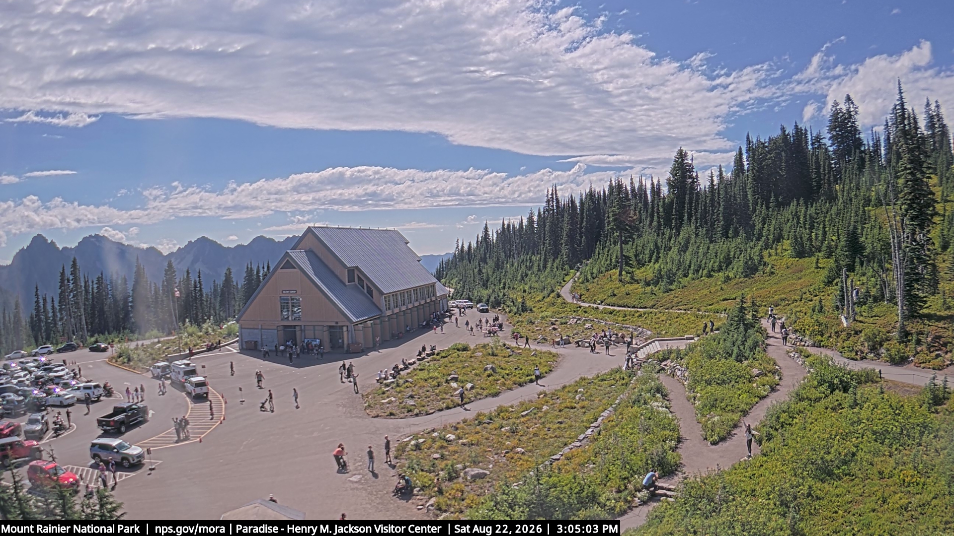 Jackson Visitor Center webcam frame at Paradise on Mount Rainier.