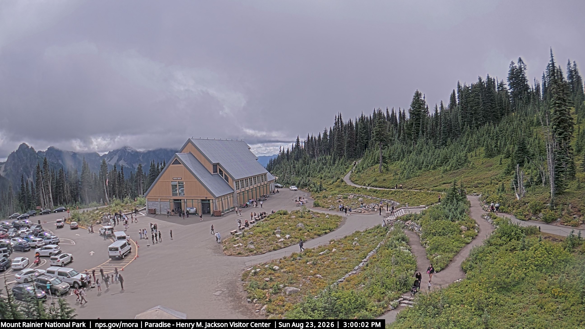Jackson Visitor Center webcam frame at Paradise on Mount Rainier.