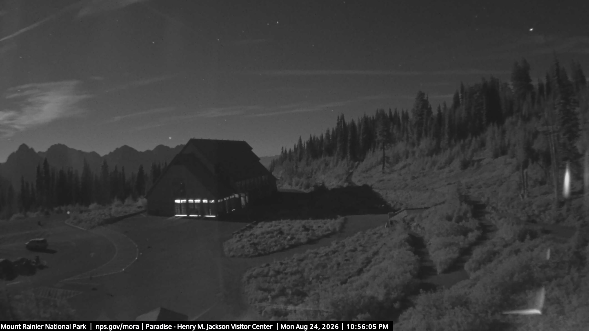 Jackson Visitor Center webcam frame at Paradise on Mount Rainier.