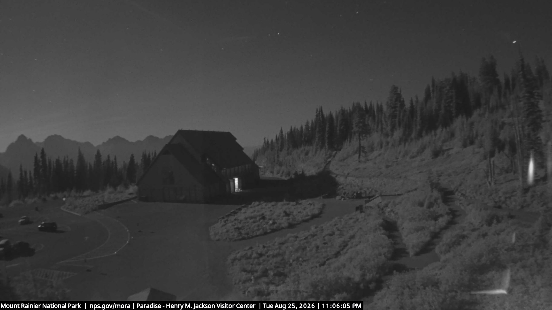 Jackson Visitor Center webcam frame at Paradise on Mount Rainier.
