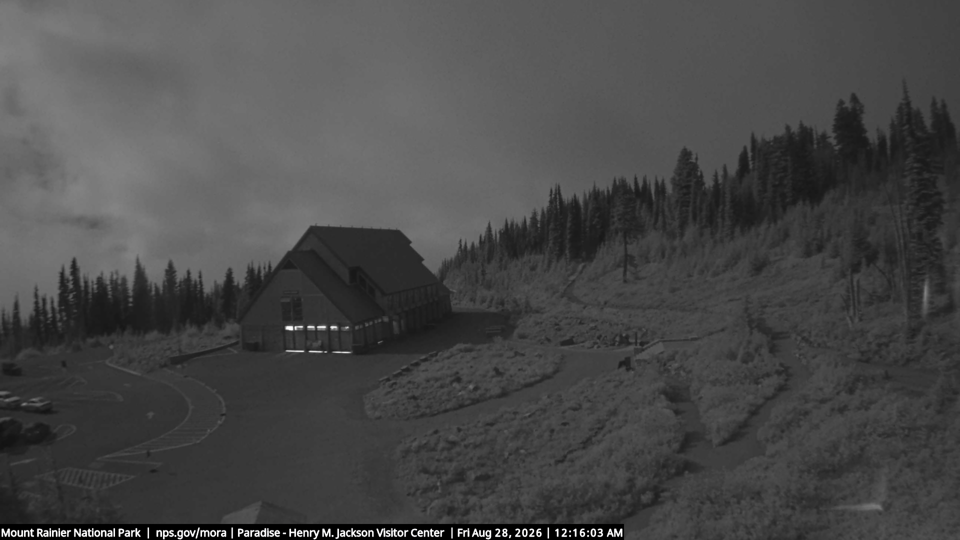 Jackson Visitor Center webcam frame at Paradise on Mount Rainier.