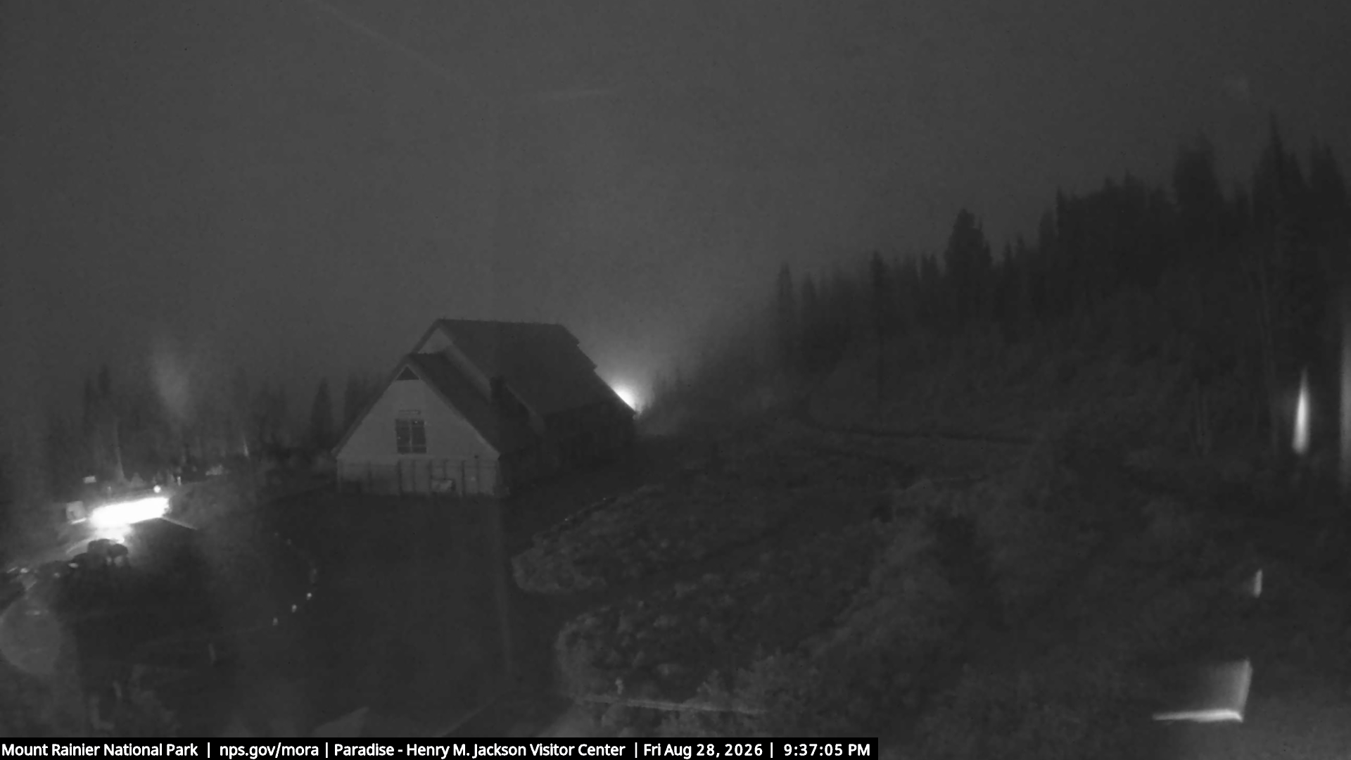 Jackson Visitor Center webcam frame at Paradise on Mount Rainier.