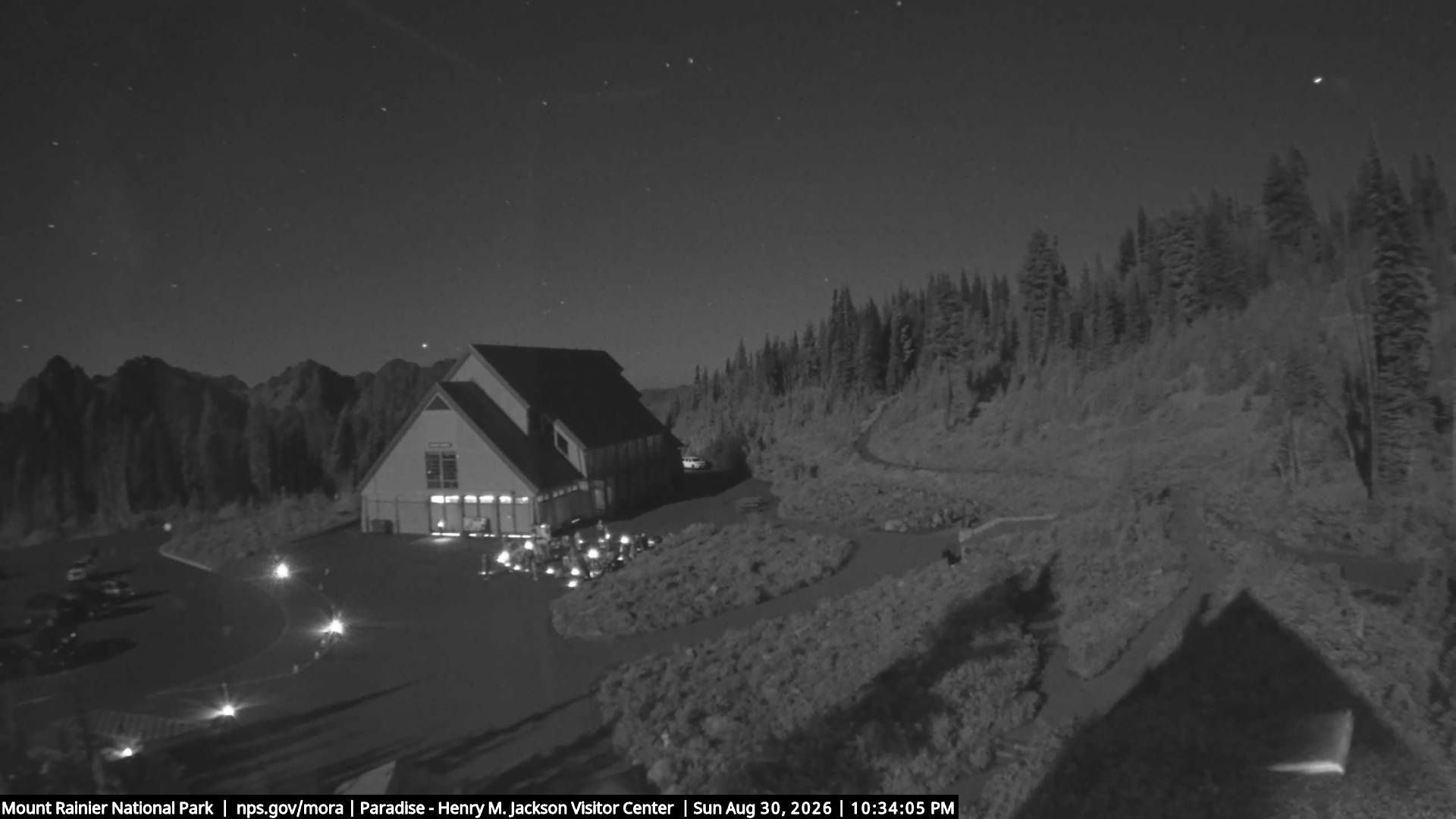 Jackson Visitor Center webcam frame at Paradise on Mount Rainier.