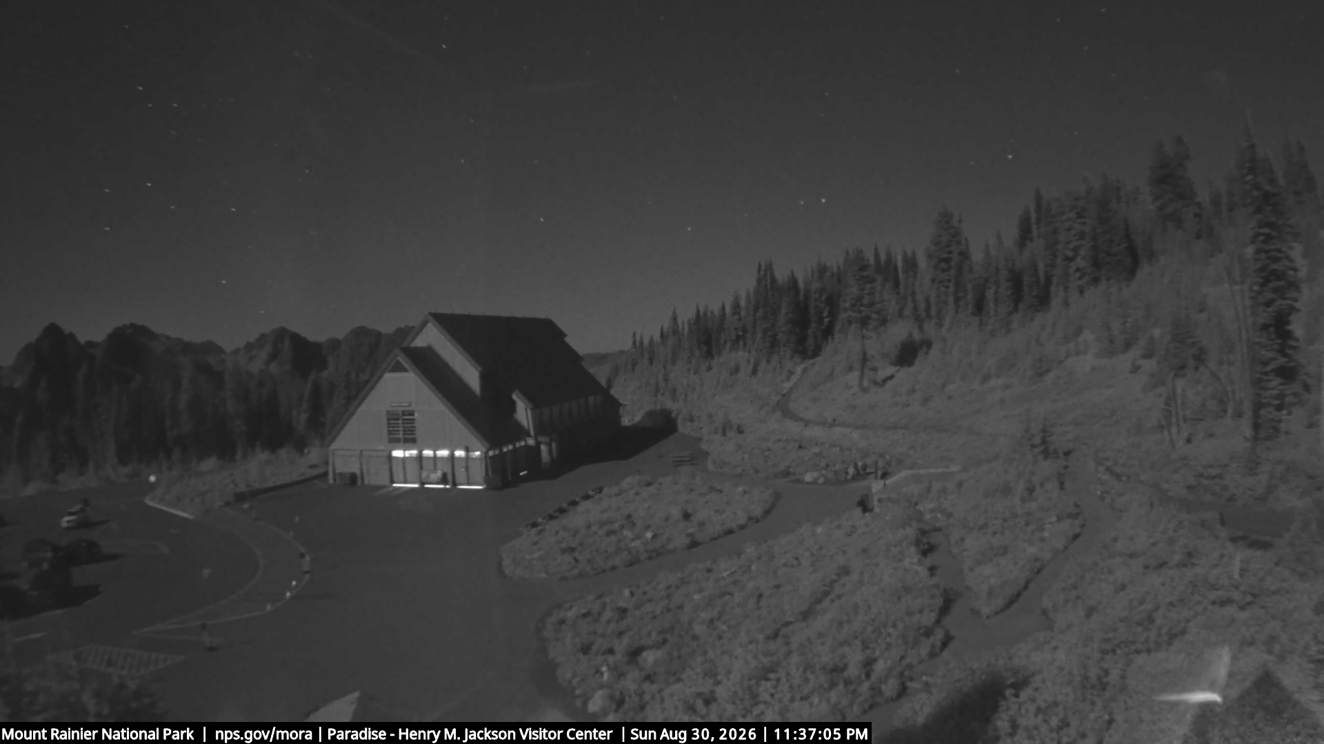 Jackson Visitor Center webcam frame at Paradise on Mount Rainier.